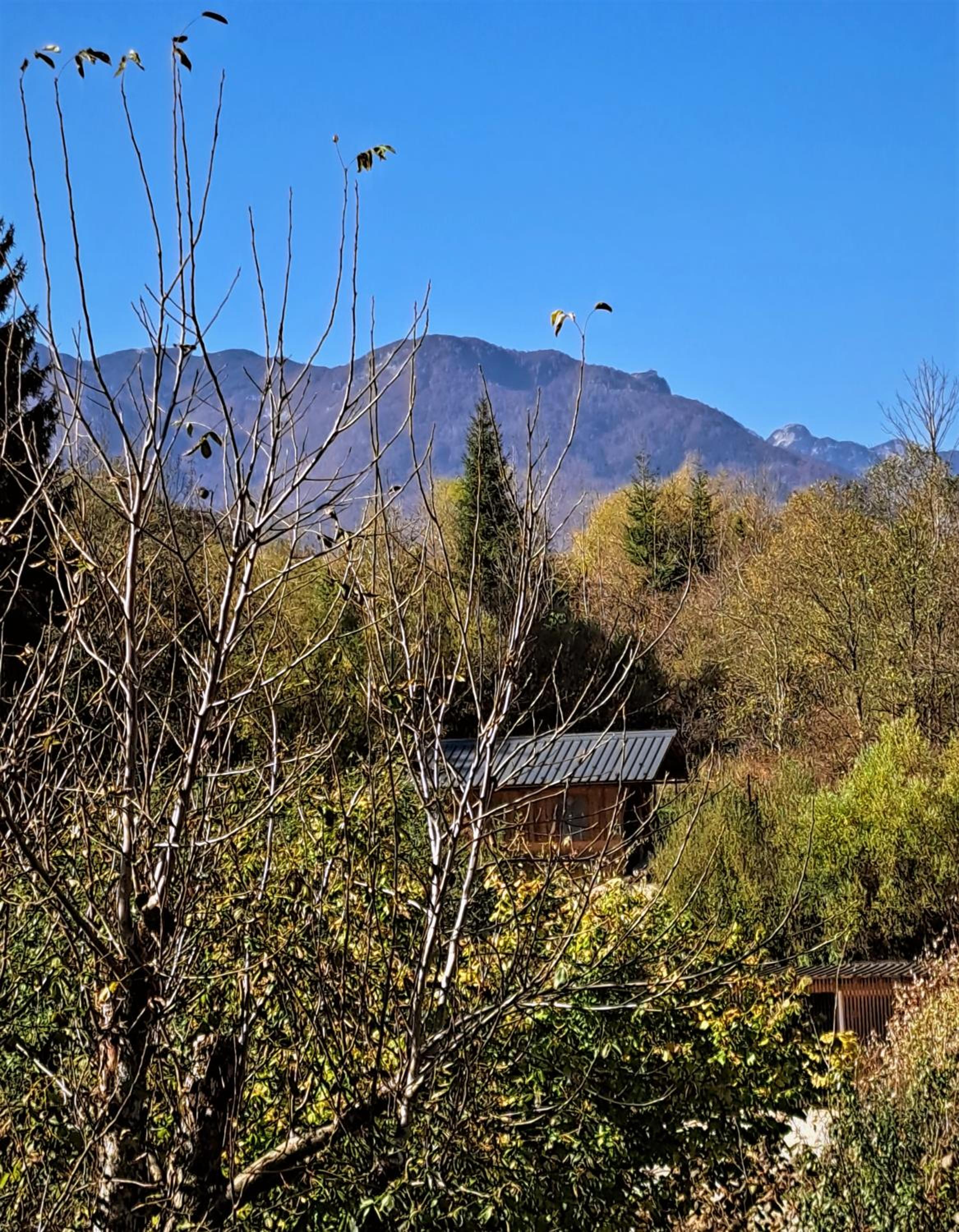 Studio with Mountain View photo 2