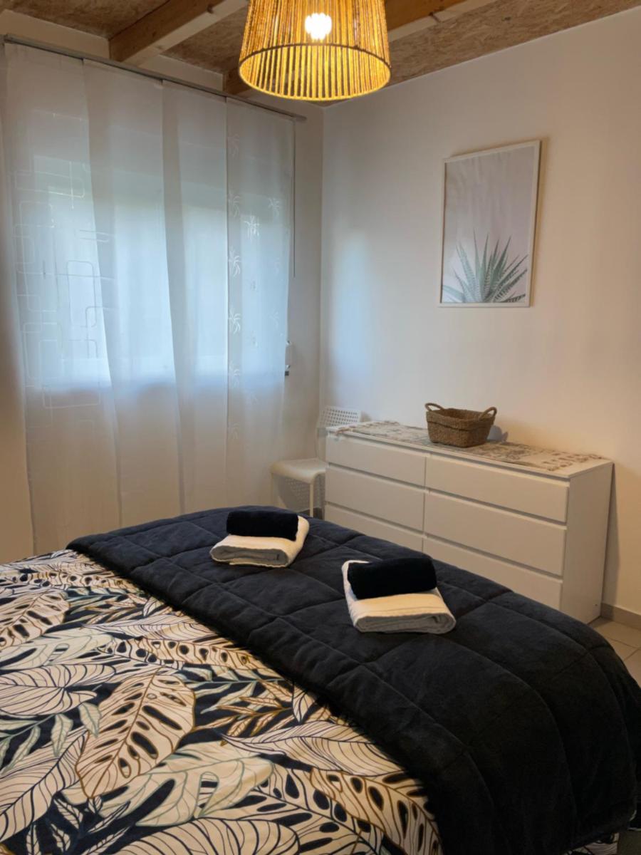 Apartment with Terrace photo 3