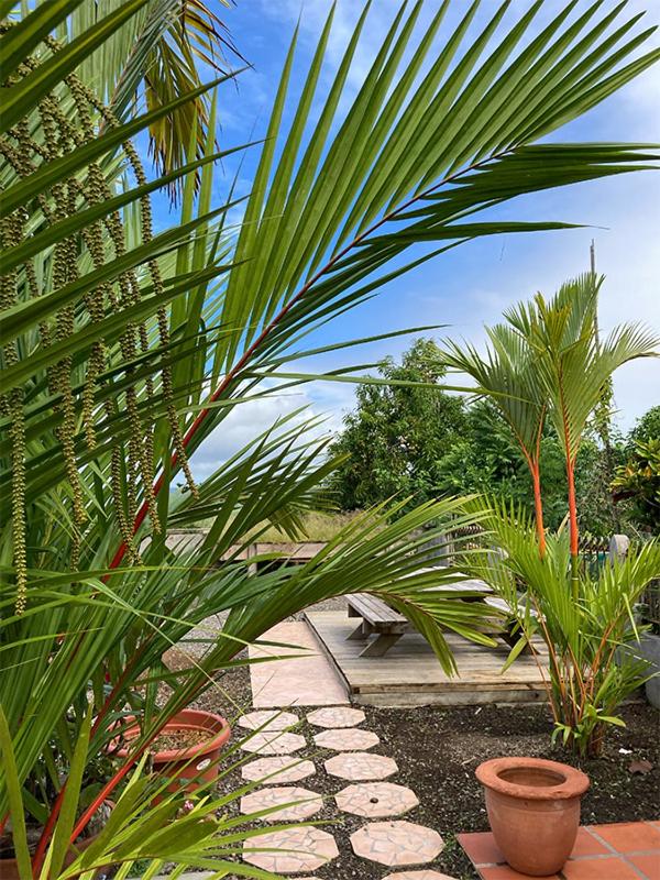 Villa photo 3