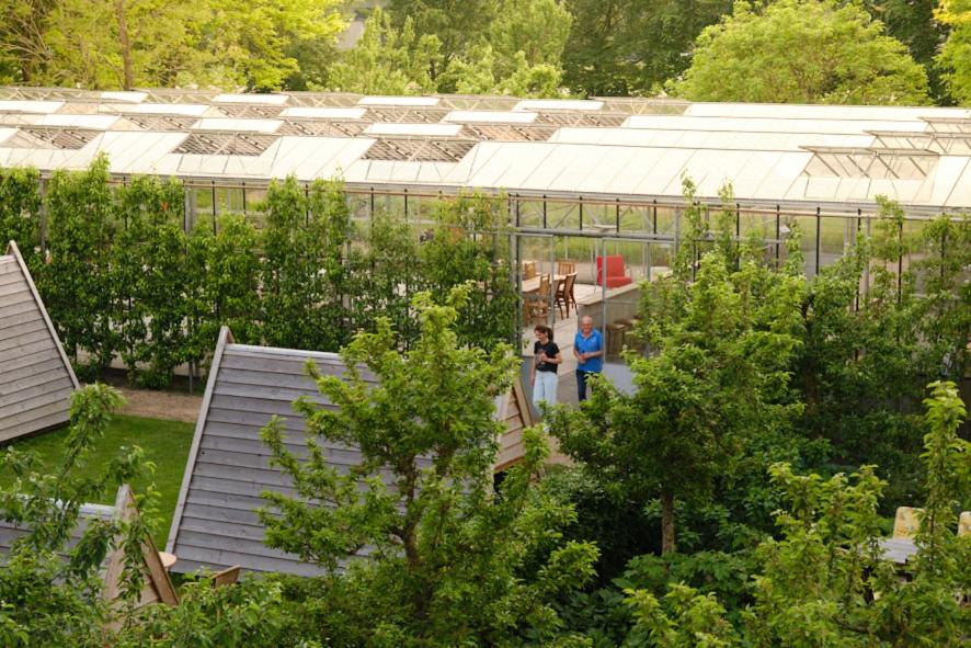 houten tent 4 photo 2