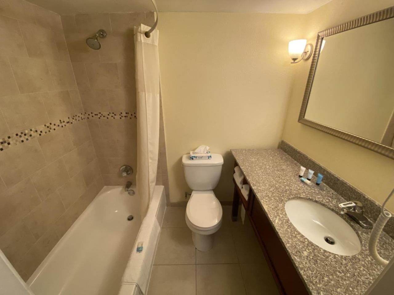 Standard  Double Room - Photo 5