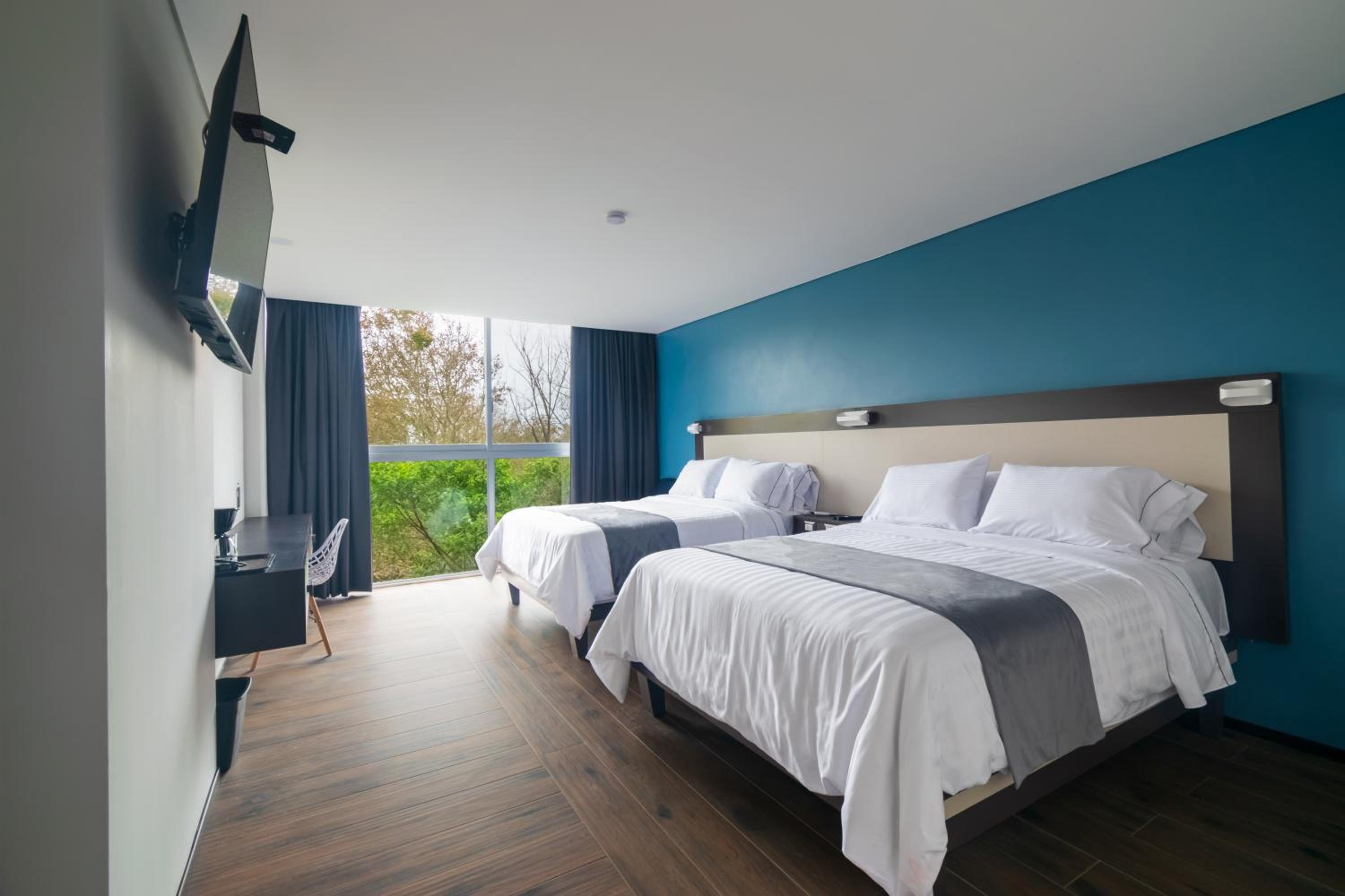 Standard Suite photo 1