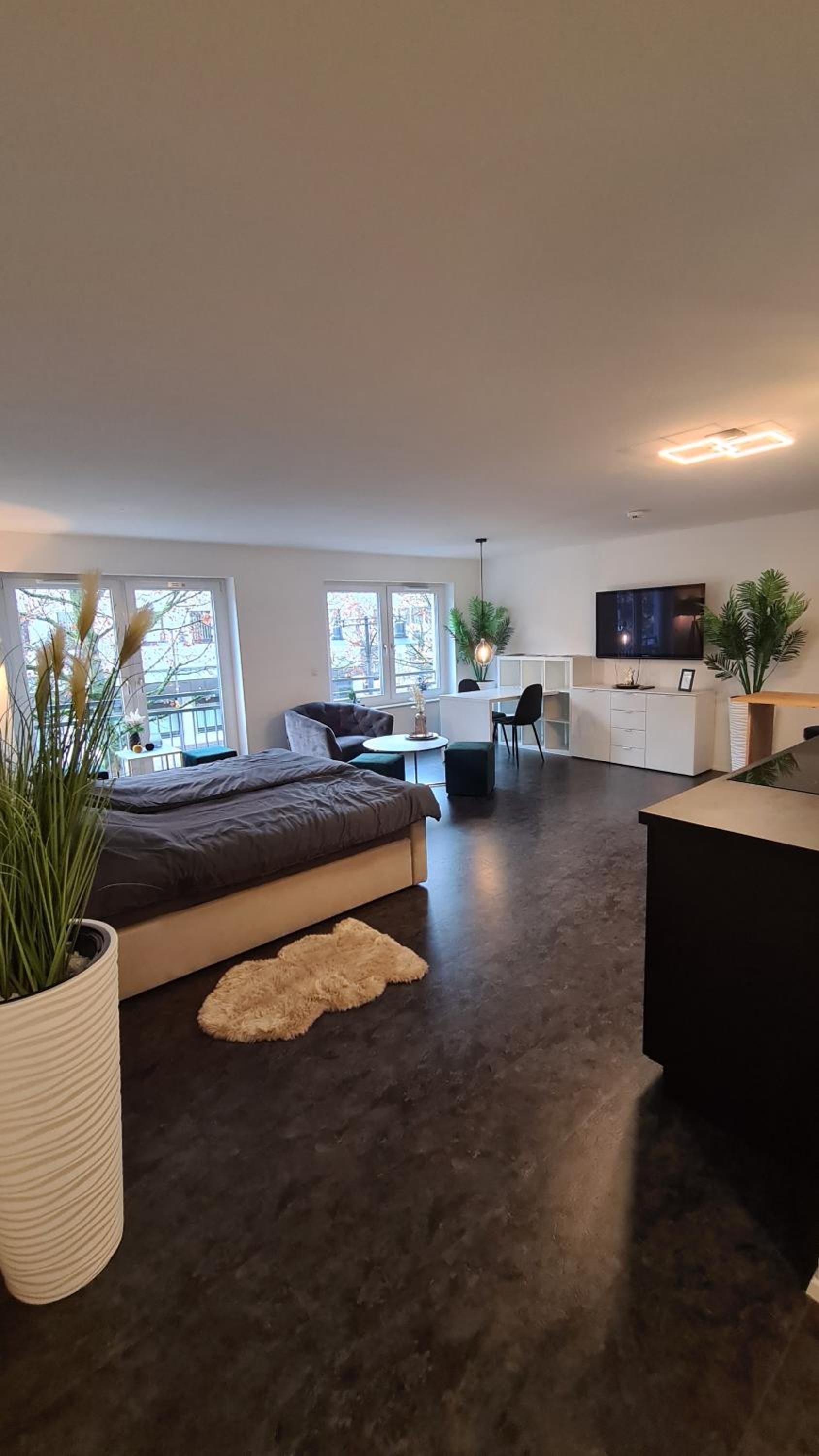 One-Bedroom Apartment photo 2