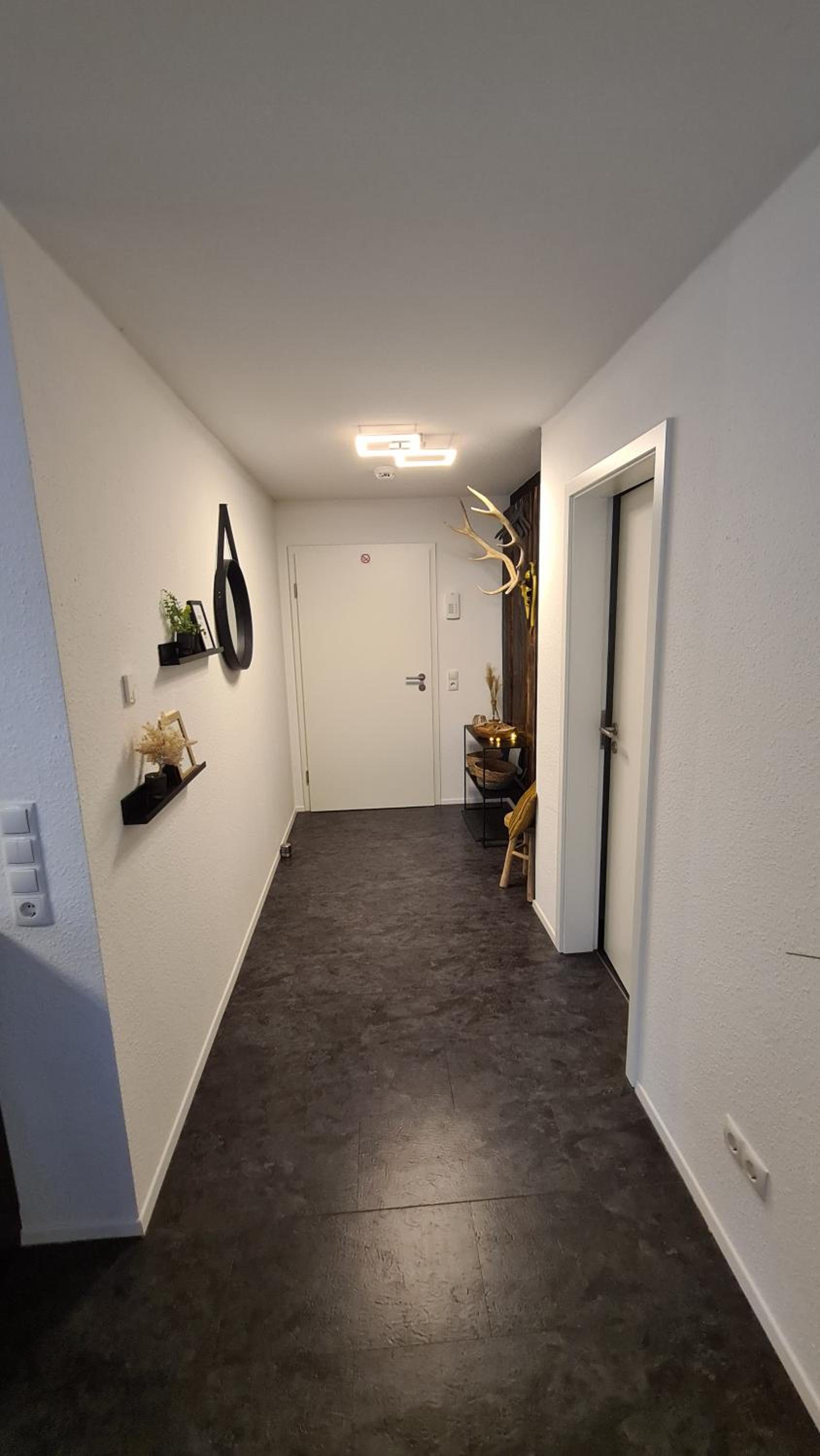 One-Bedroom Apartment photo 3