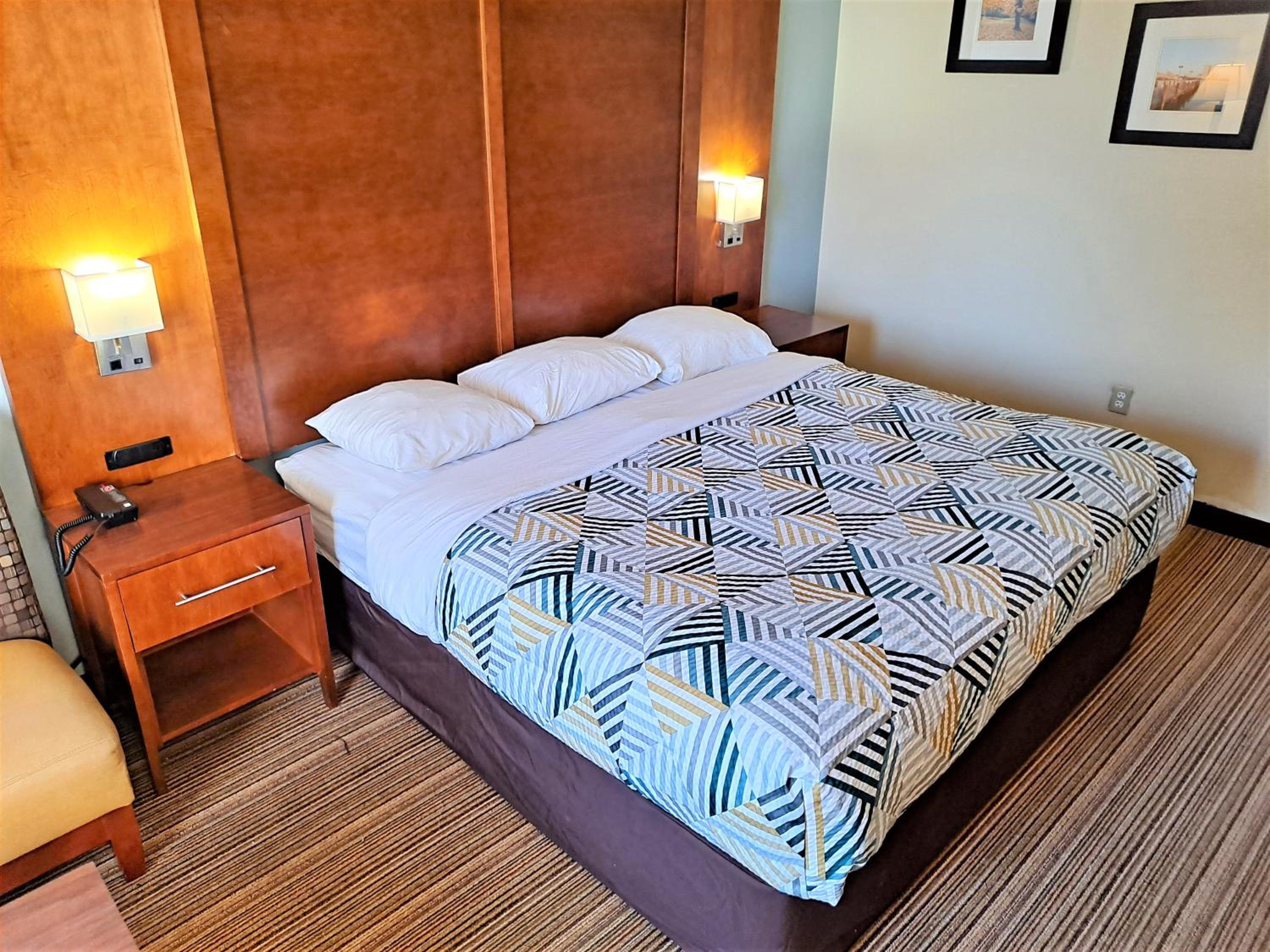 Single Room with Bathroom photo 1