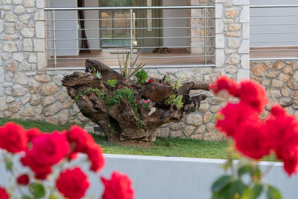 Three-Bedroom Villa photo 2