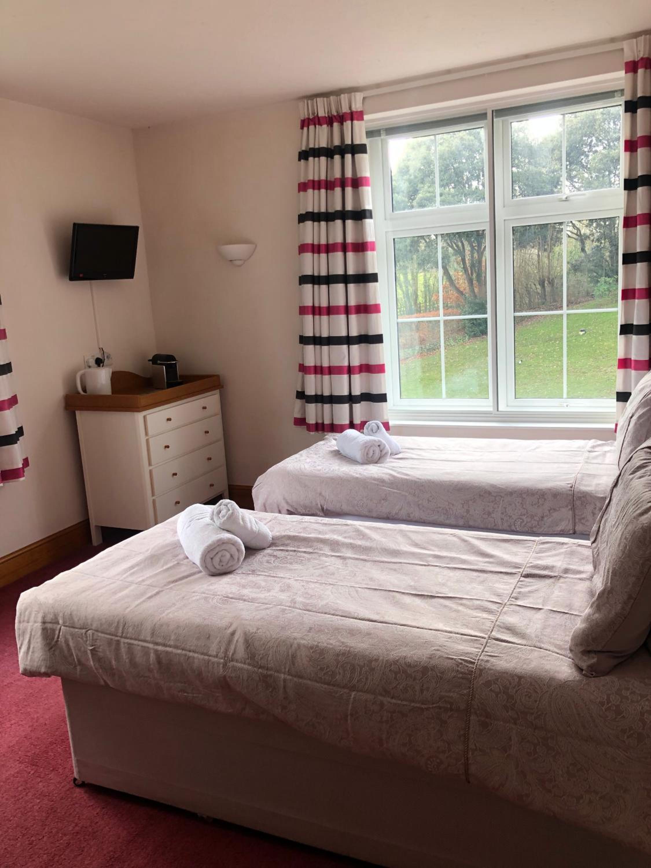 Standard Twin Room photo 2