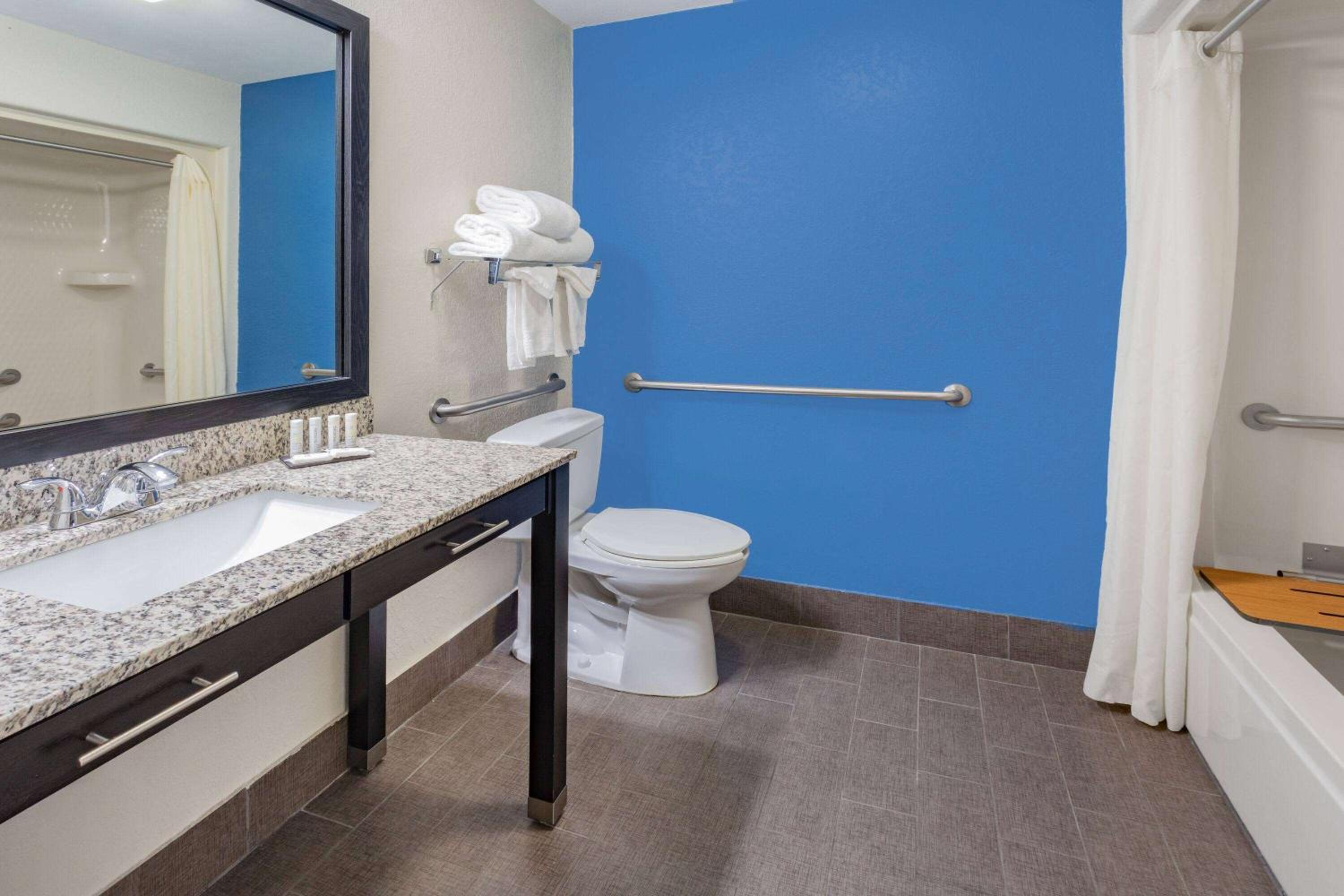 1 Queen Bed, Mobility/Hearing Accessible Room, Bathtub w/ Grab Bars, Non-Smoking - Photo 4