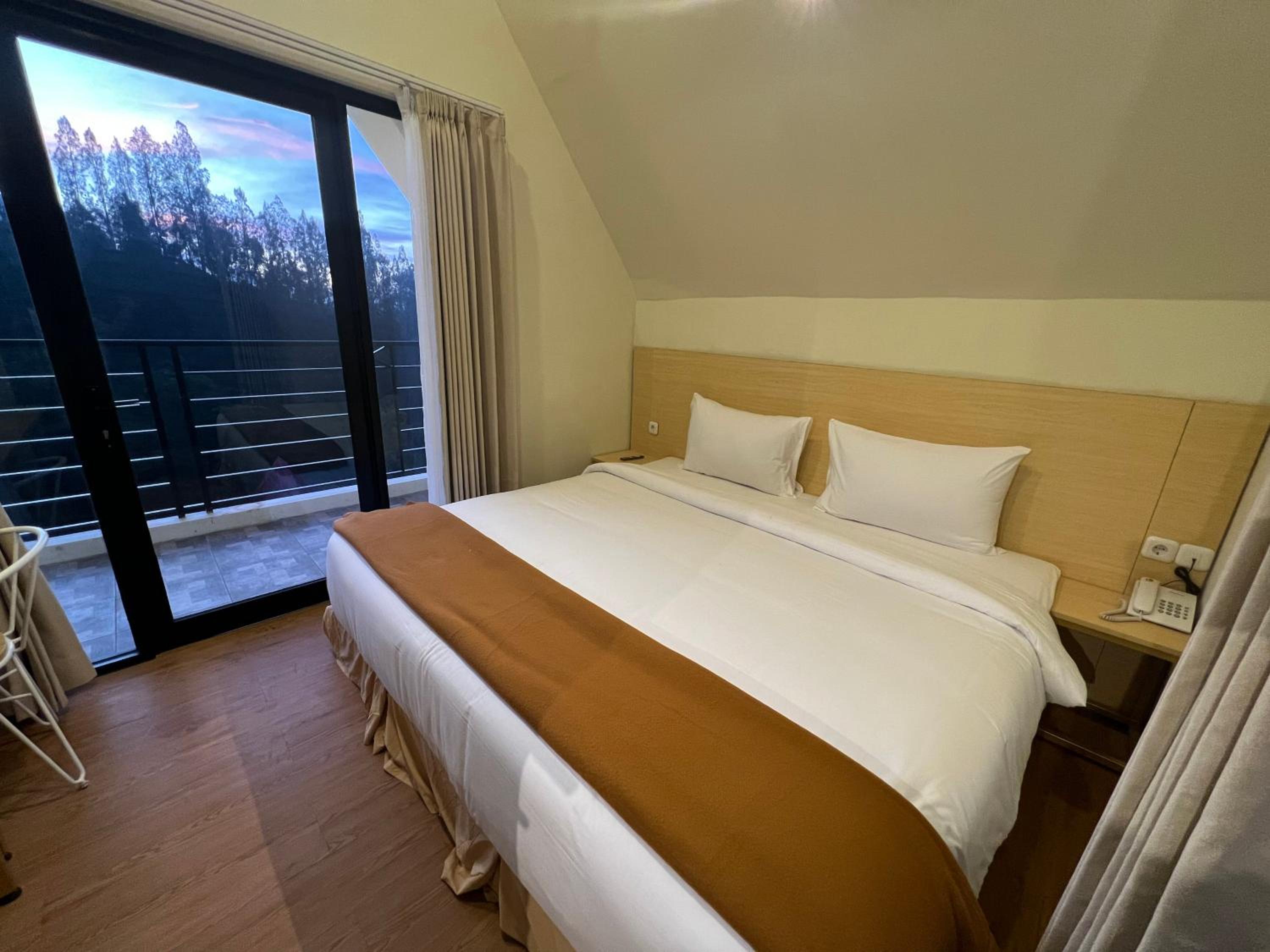 Deluxe Double Room photo 2