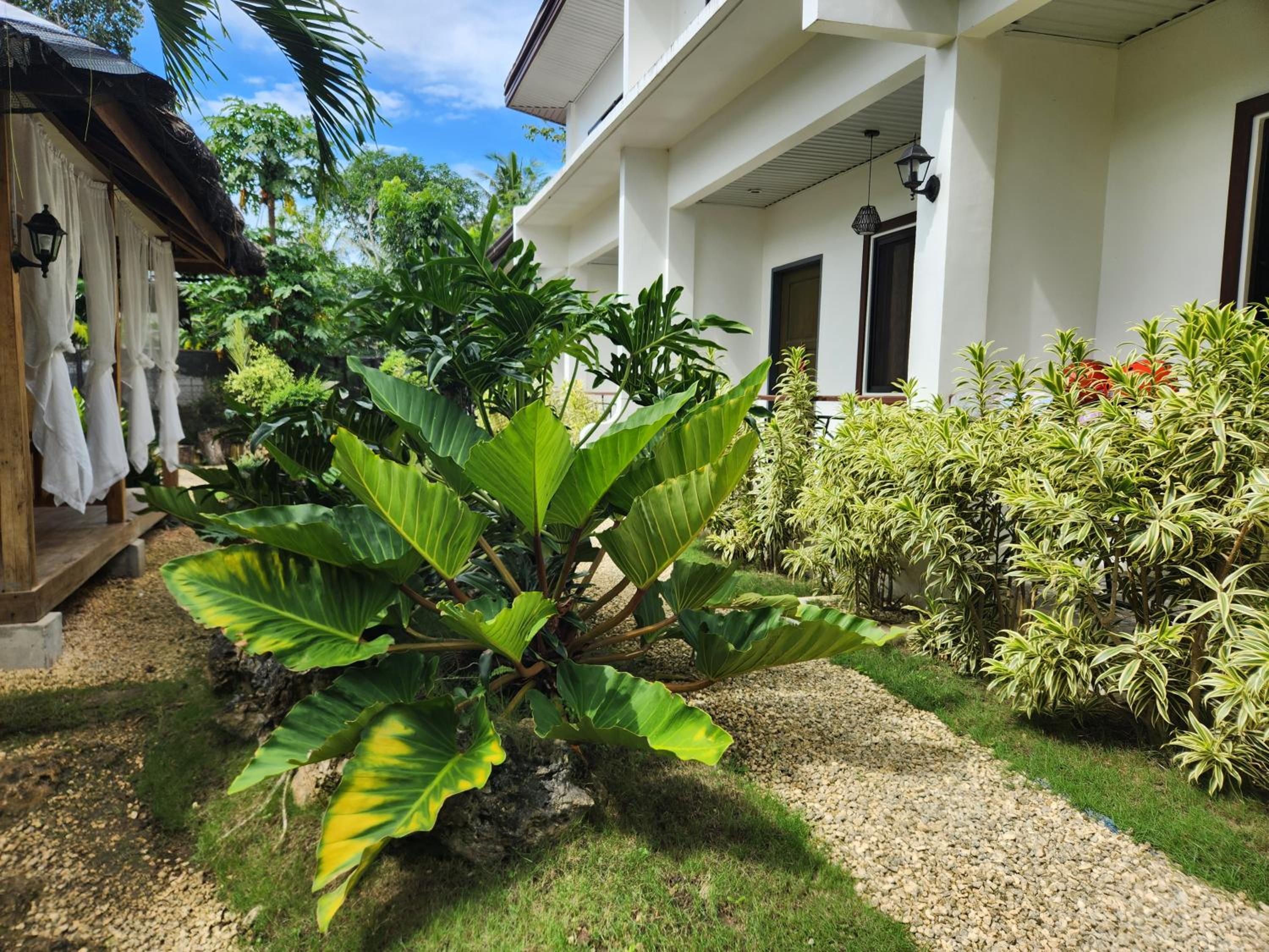 Family Room with Balcony - Photo 24