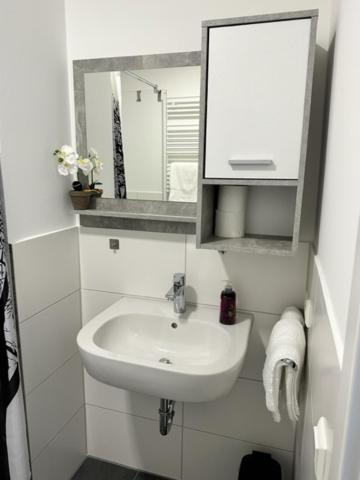 One-Bedroom Apartment photo 3