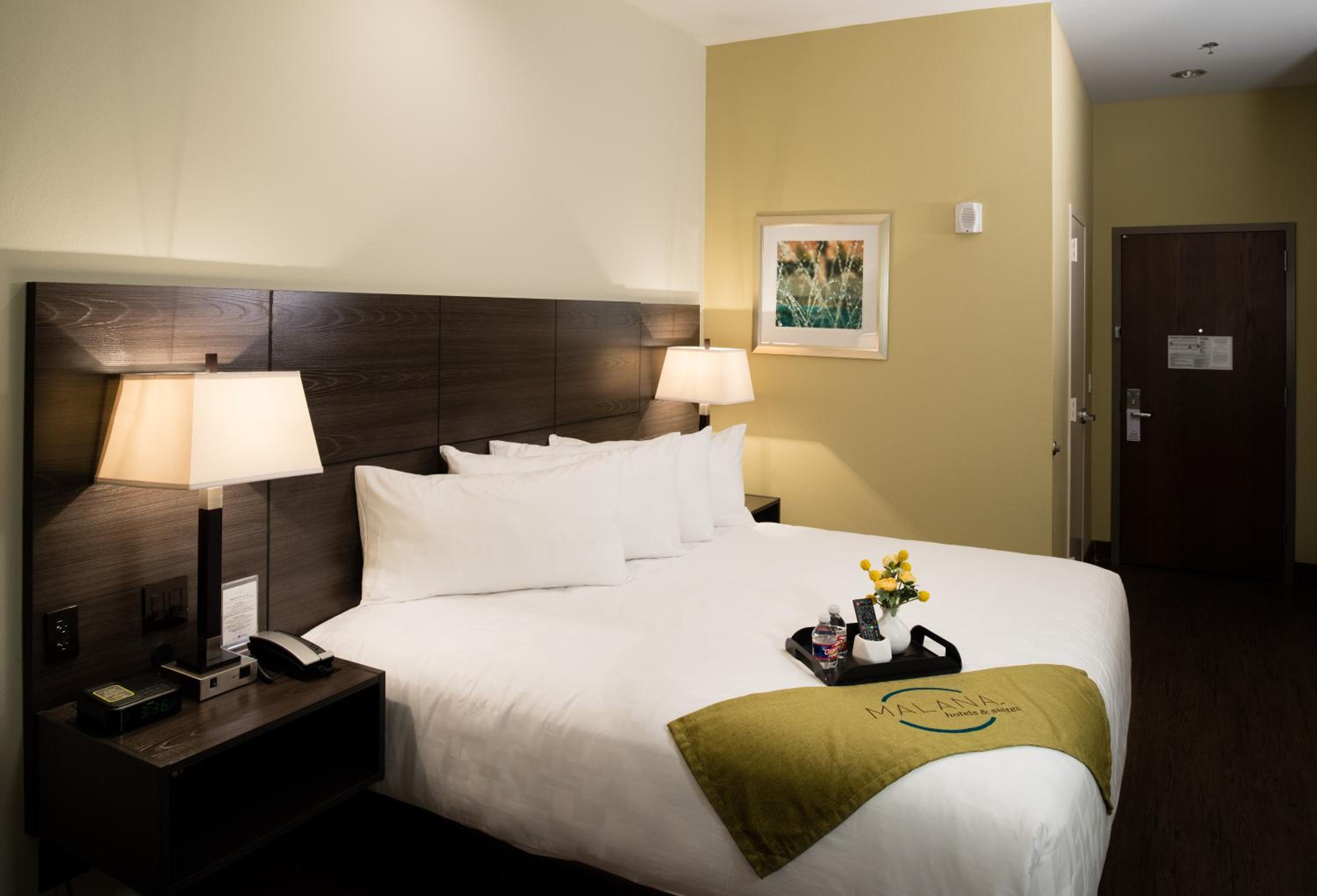 King Room photo 1