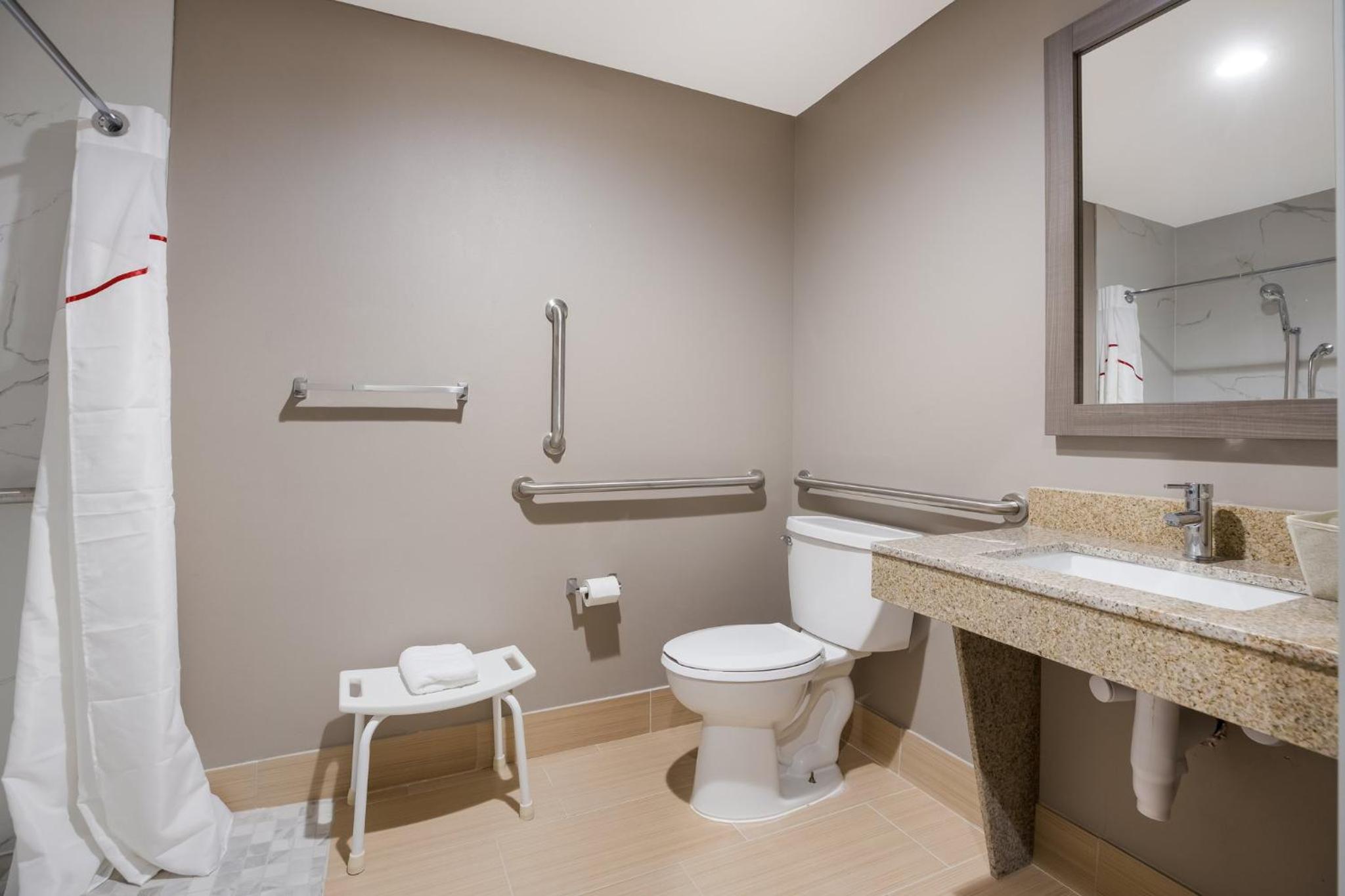 Deluxe Room with One Queen Bed Disability Access Roll-In Shower Non-Smoking - Photo 2