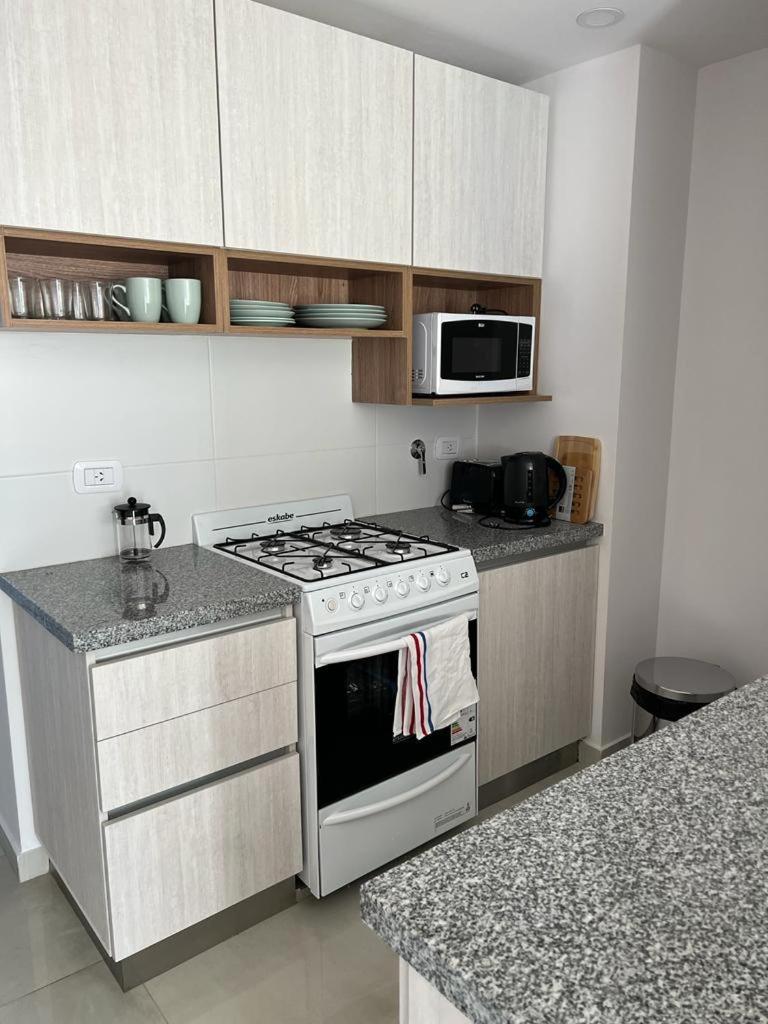 One-Bedroom Apartment photo 3