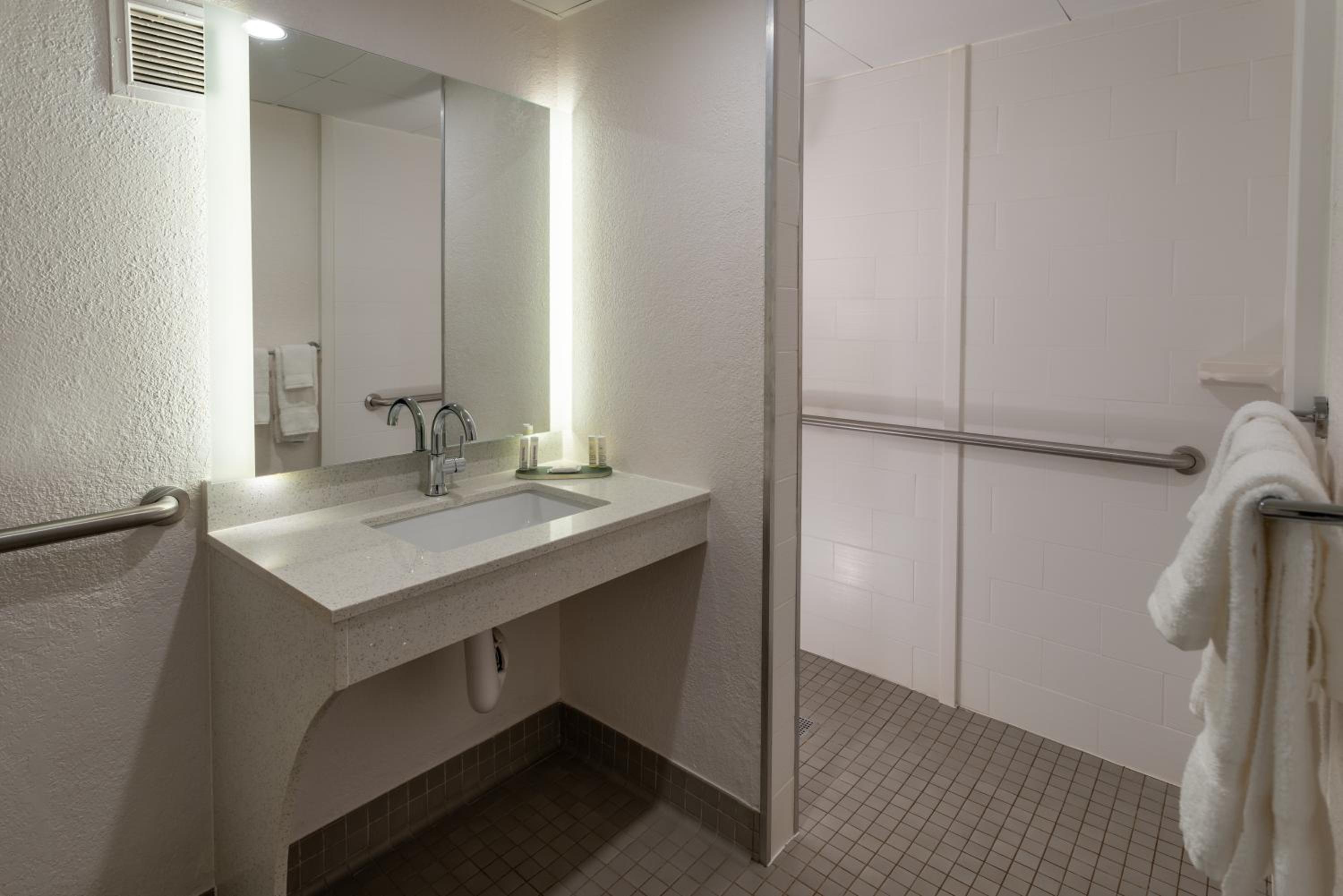 1 King Bed, Mobility and Hearing Accessible Room, Roll-In Shower, Non-Smoking photo 2