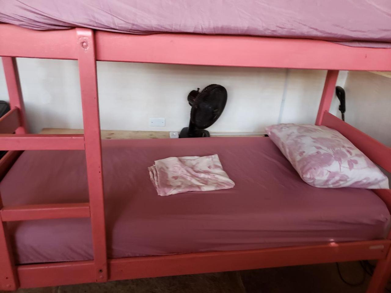 Bed in 10-Bed Mixed Dormitory Room photo 1