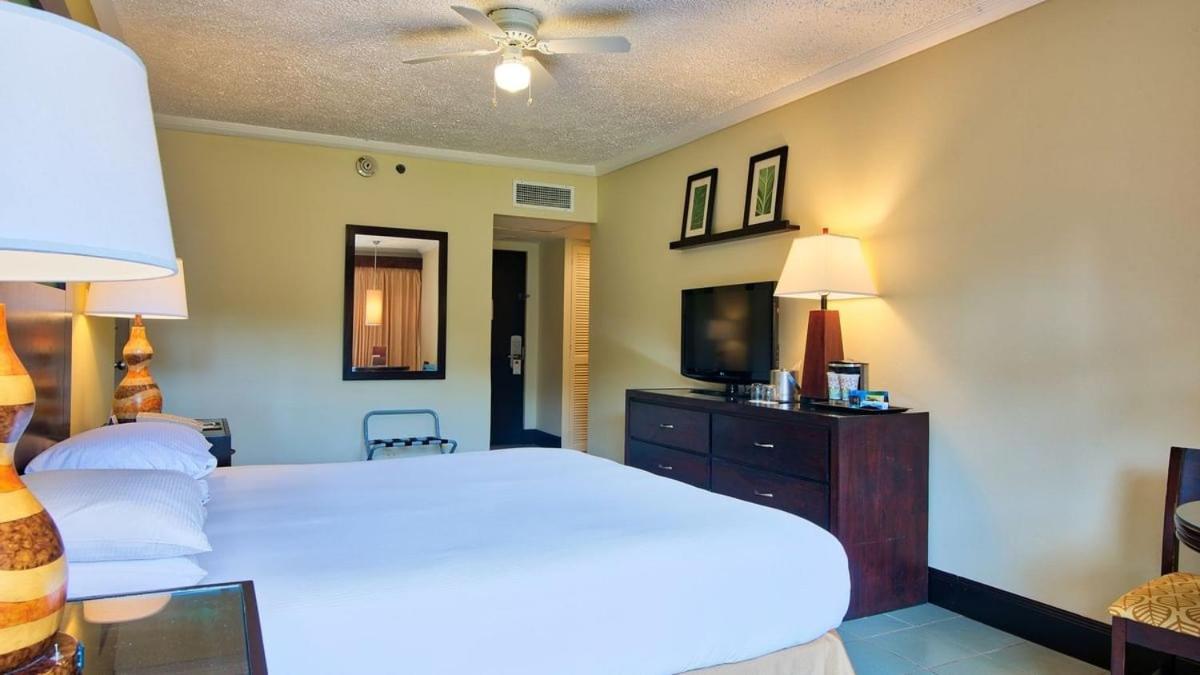 Fiesta 1 bed photo 2