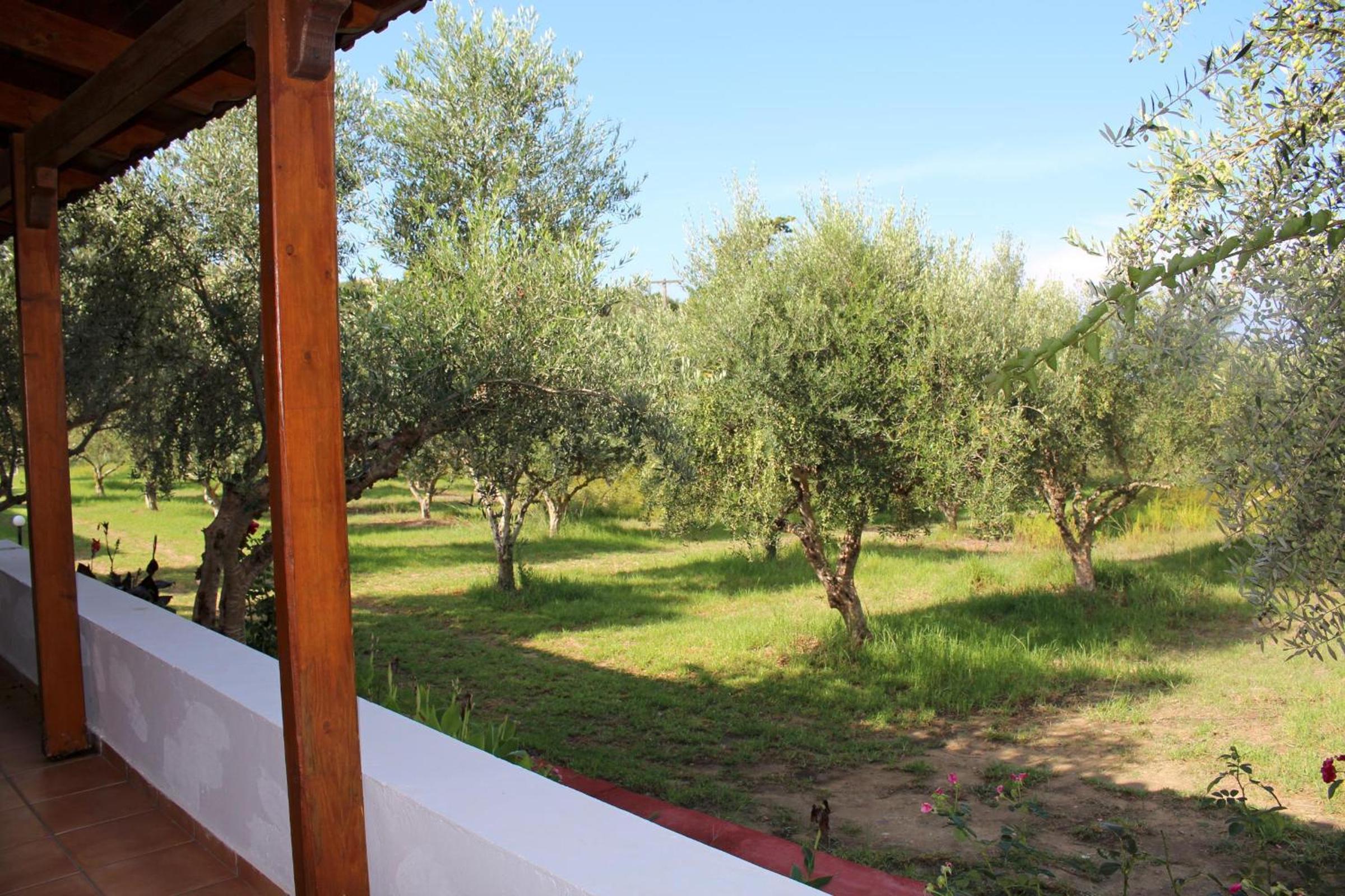 Vacation Home photo 3