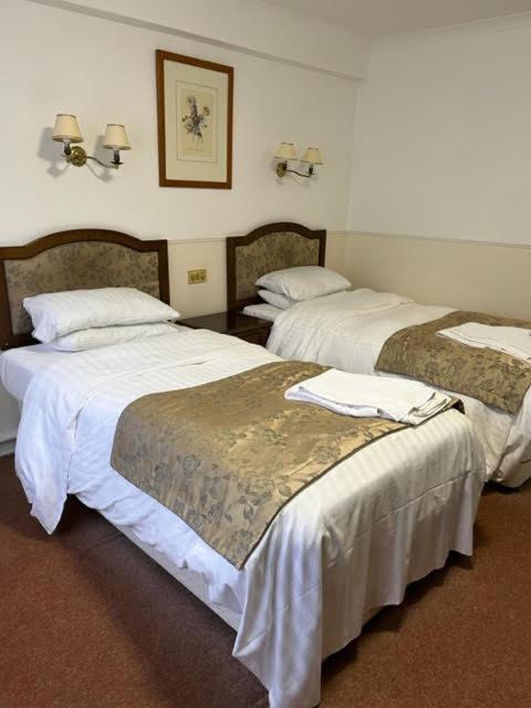Twin Room - Photo 1