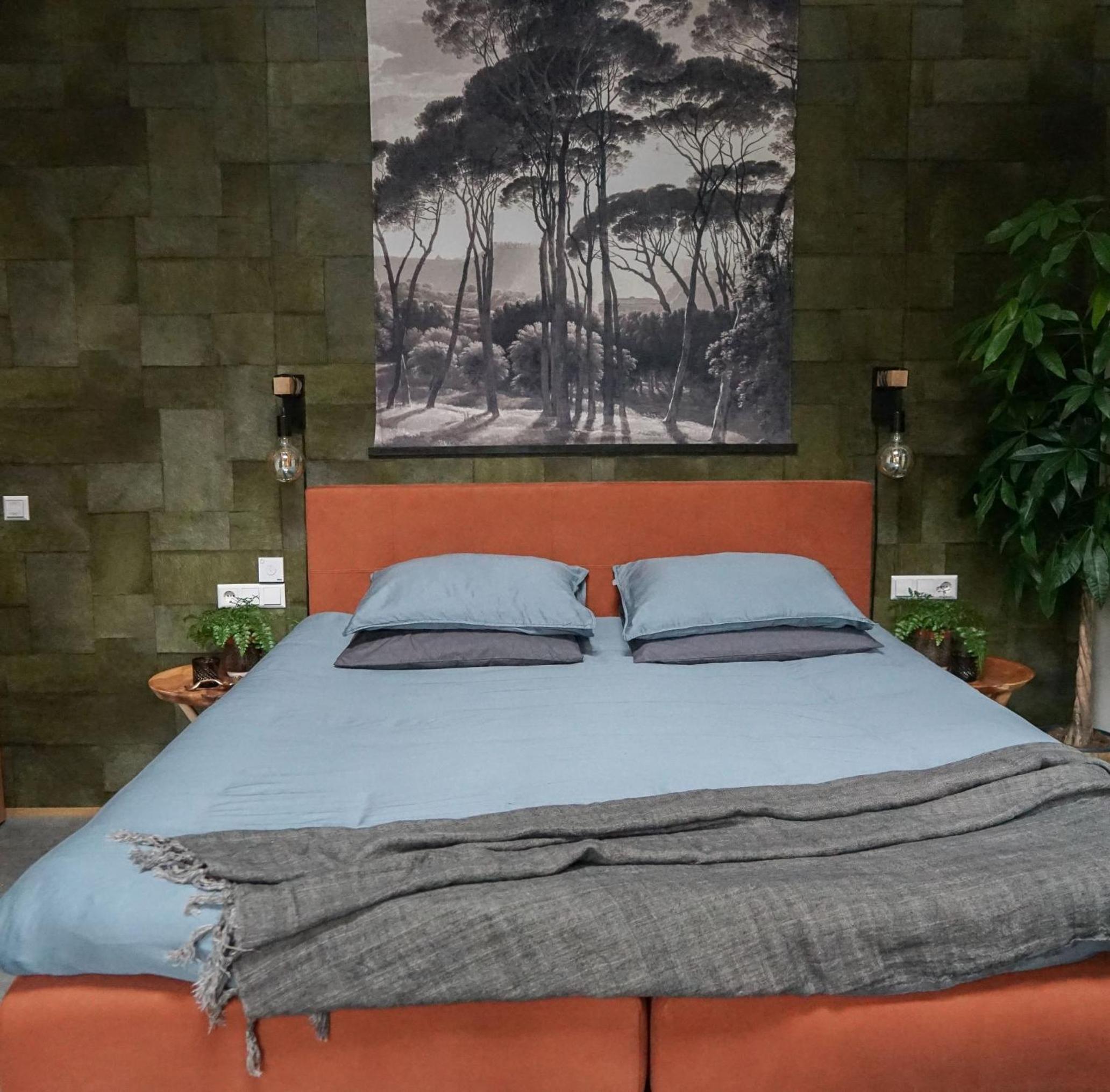 Deluxe King Room photo 2
