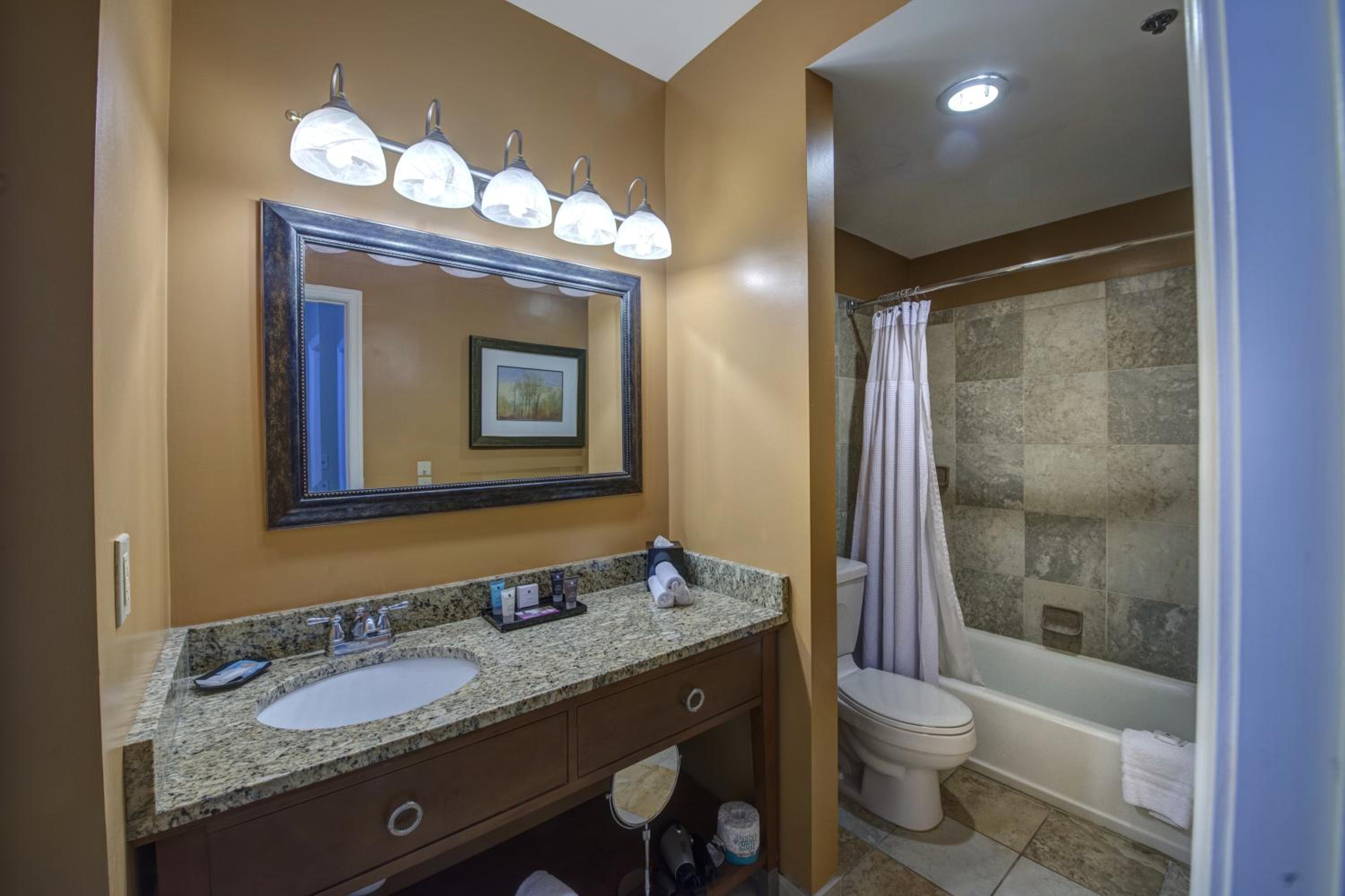 One-Bedroom King Suite - Non-Smoking photo 3