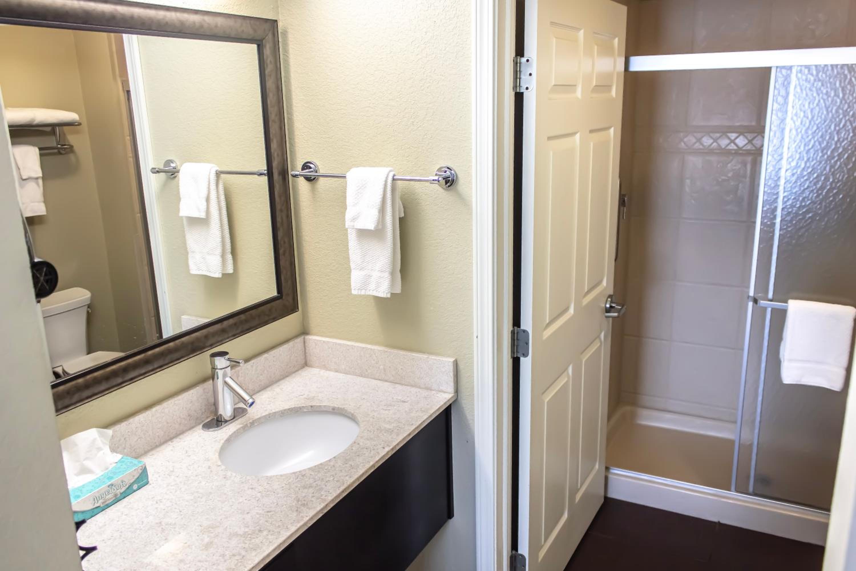 One-Bedroom King Suite with Sofa Bed - Photo 5