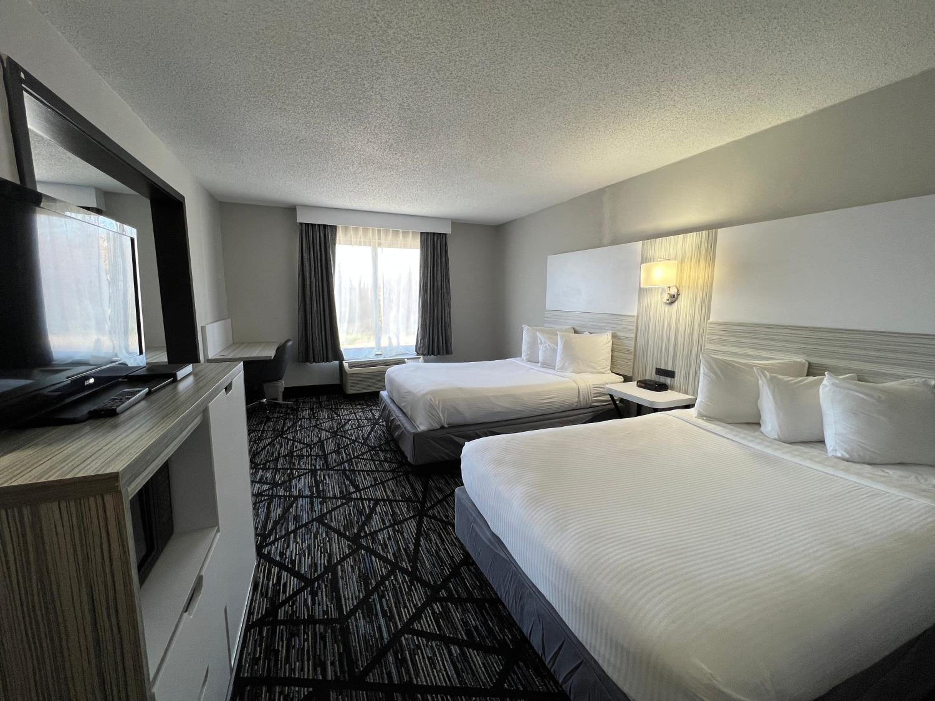 4 Double Beds, Studio Suite, Non-Smoking - Photo 4