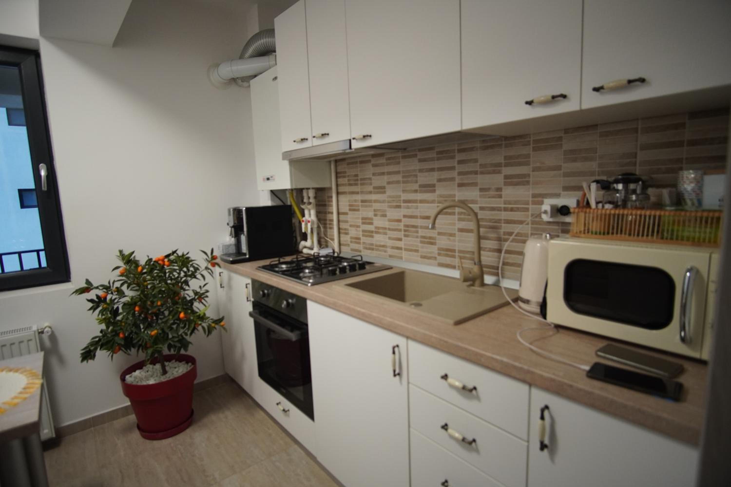 One-Bedroom Apartment photo 2