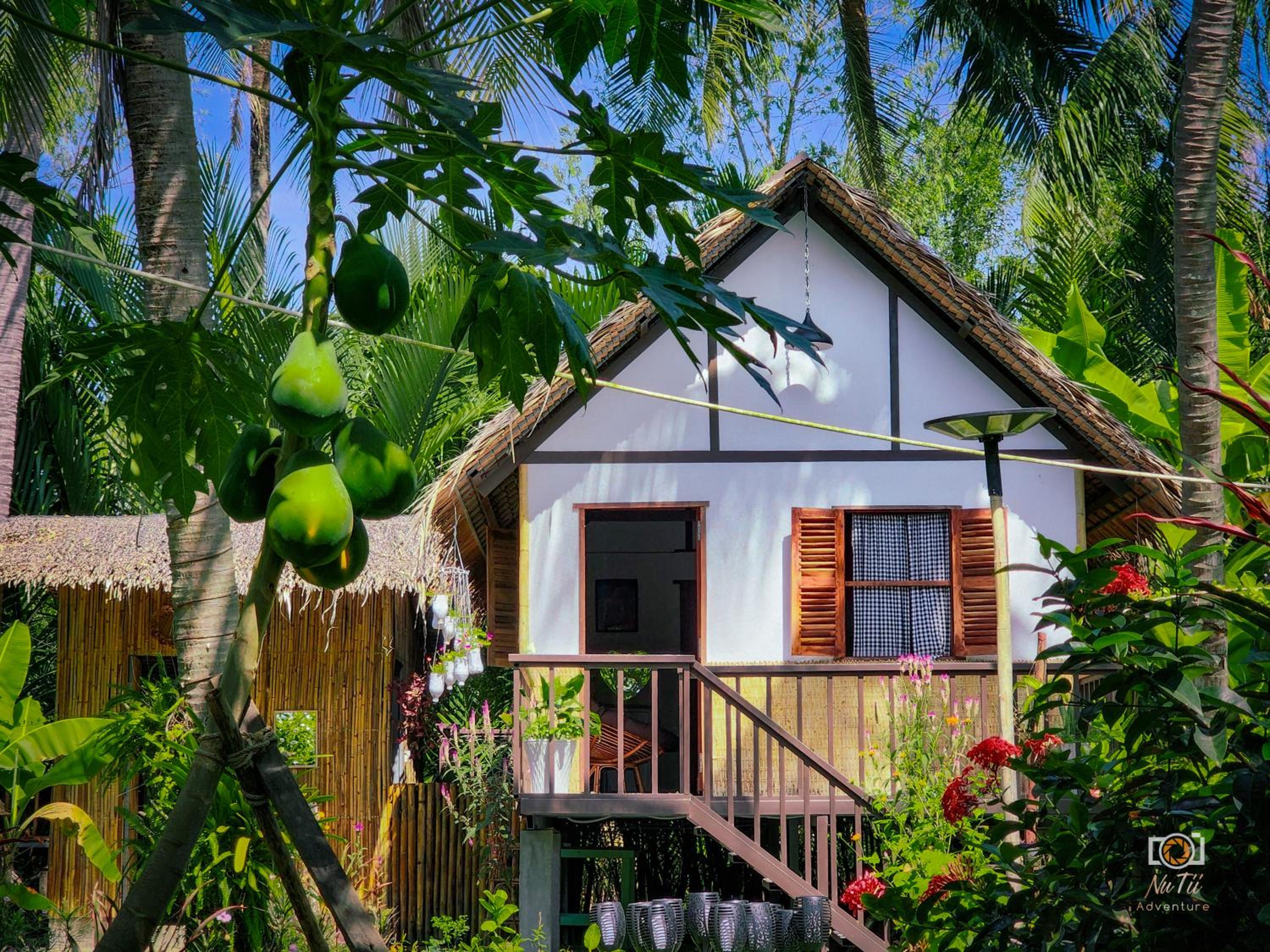 Family Bungalow - Photo 6