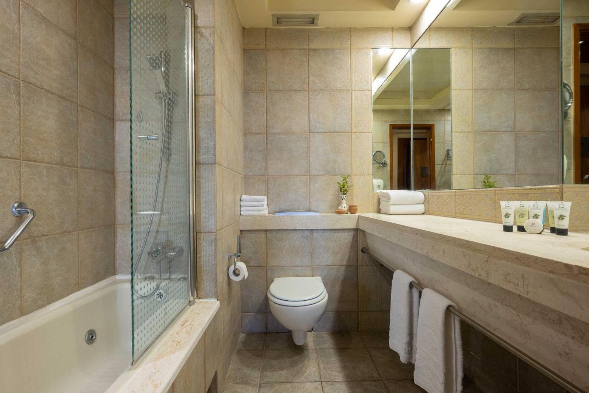 One-Bedroom Suite - Photo 5