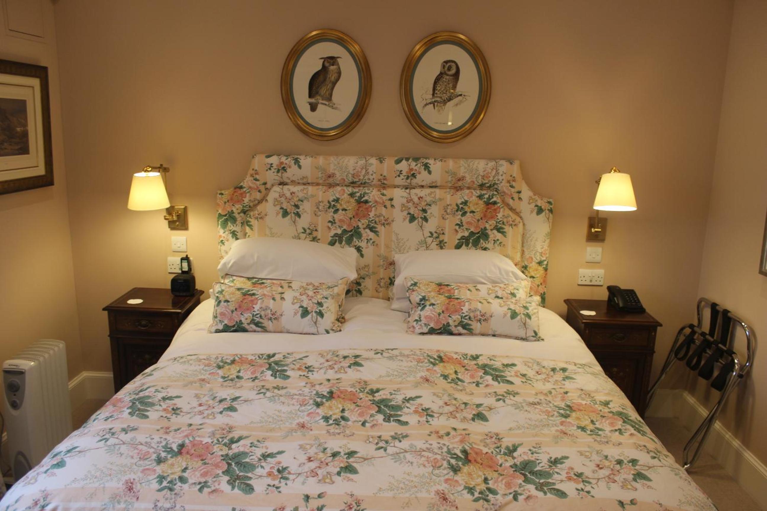 Superior King Room photo 2