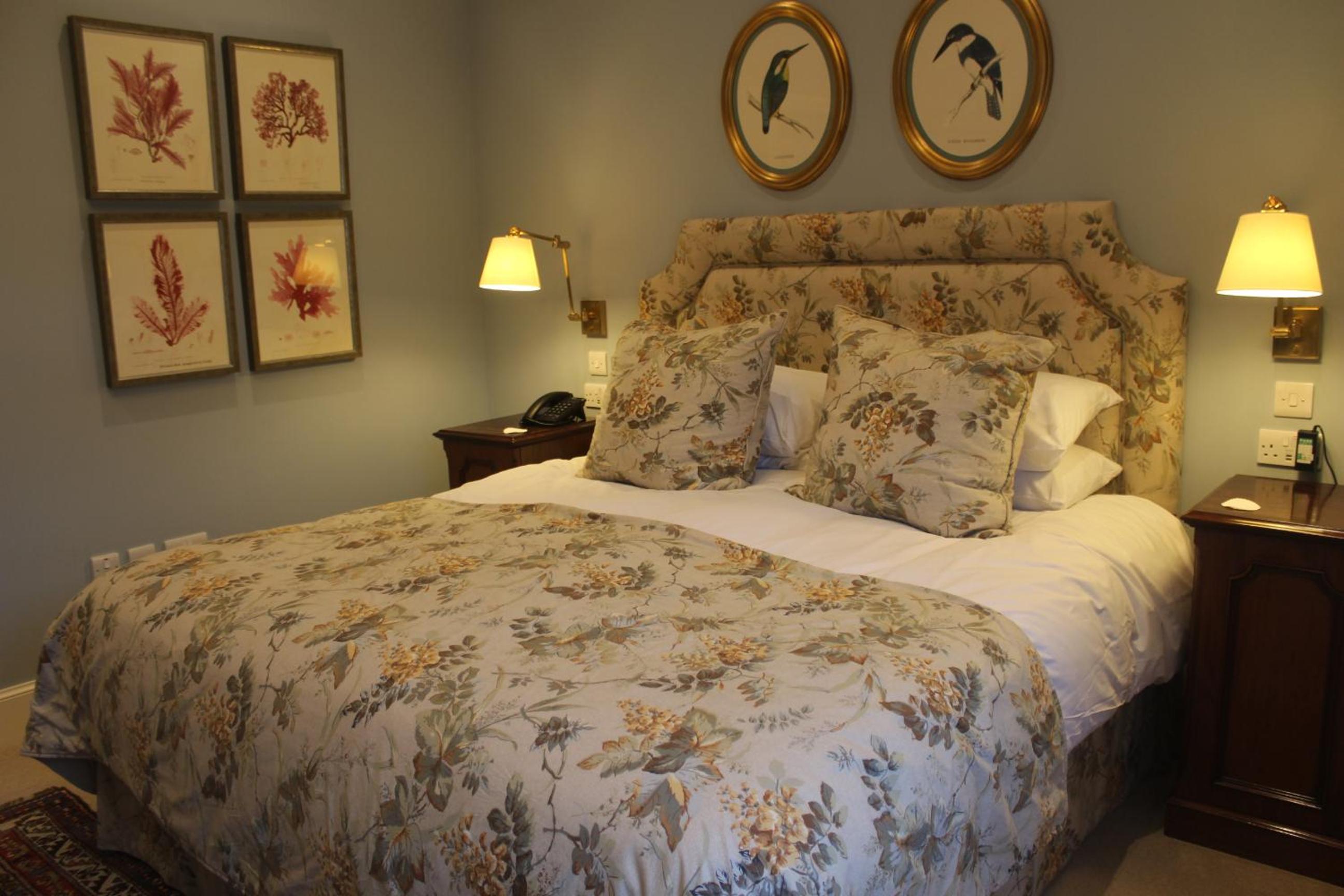 Superior King Room photo 2