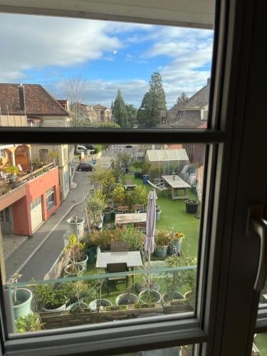 Double Room with Garden View photo 3