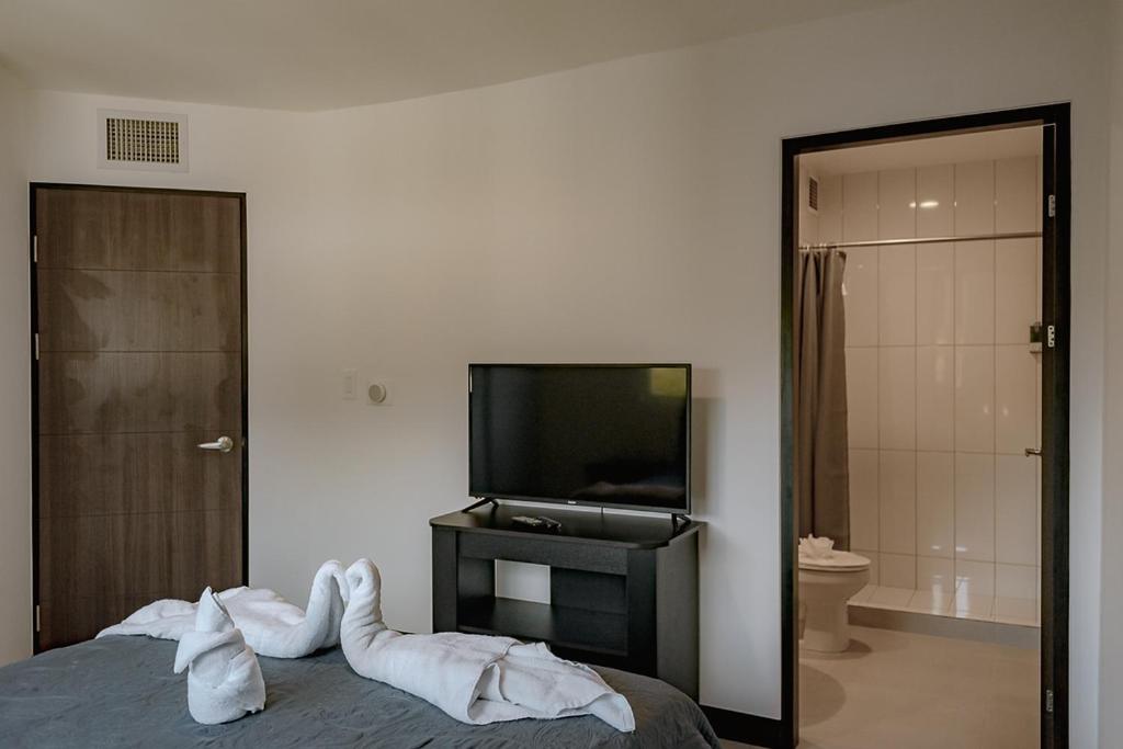 Three-Bedroom Apartment - Photo 14