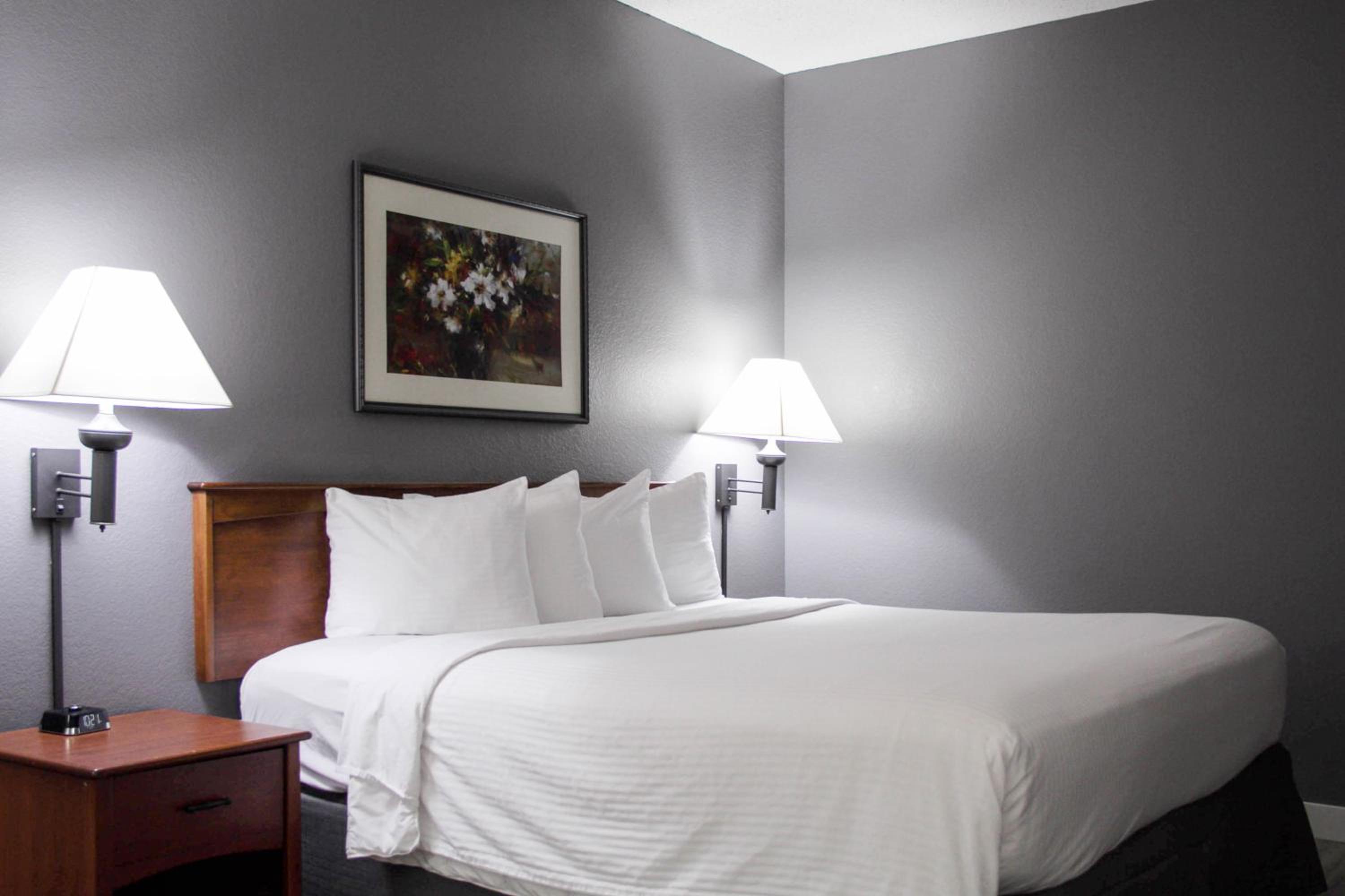 King Room - Non-Smoking - Photo 5
