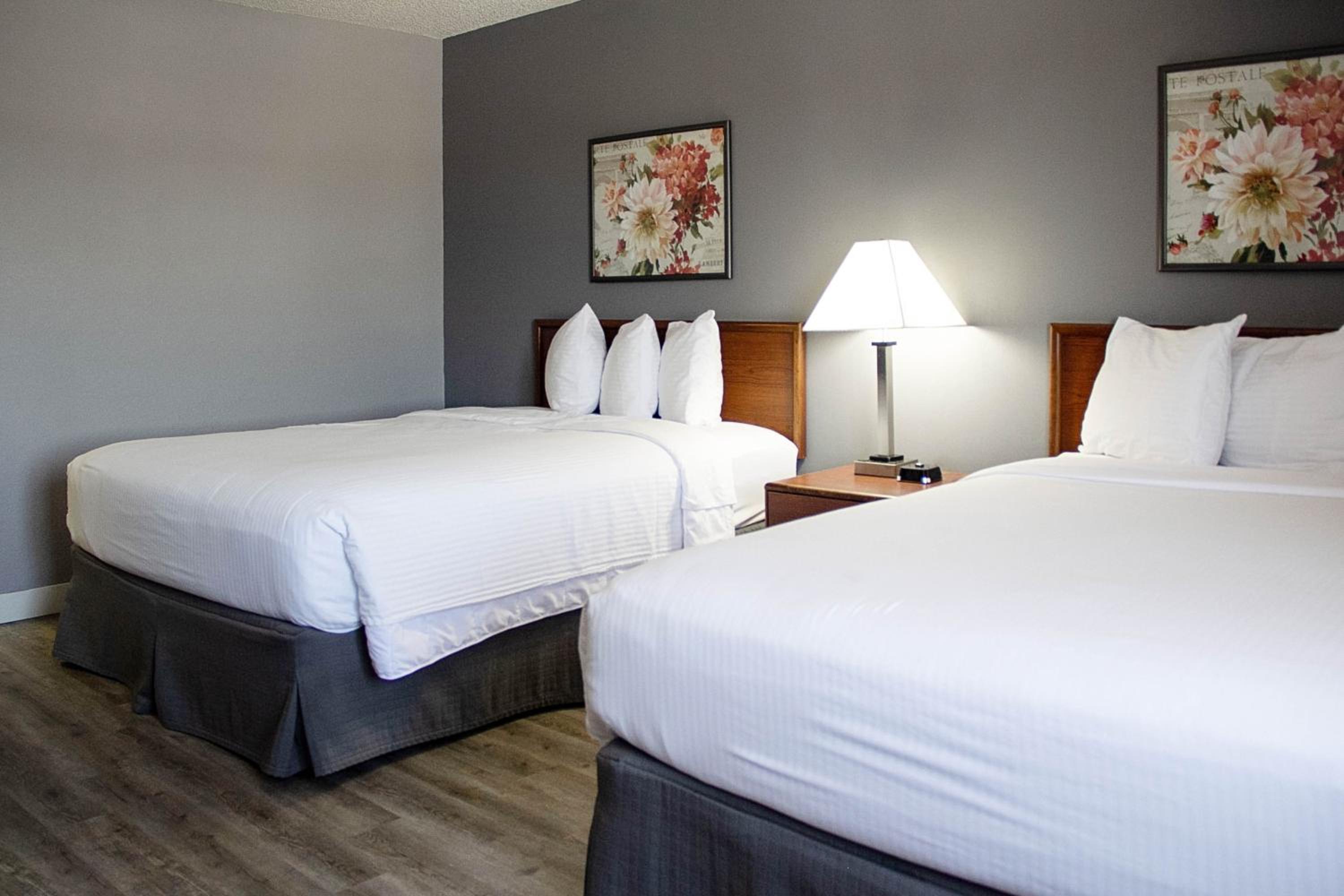 Queen Room with Two Queen Beds - Non-Smoking - Photo 5