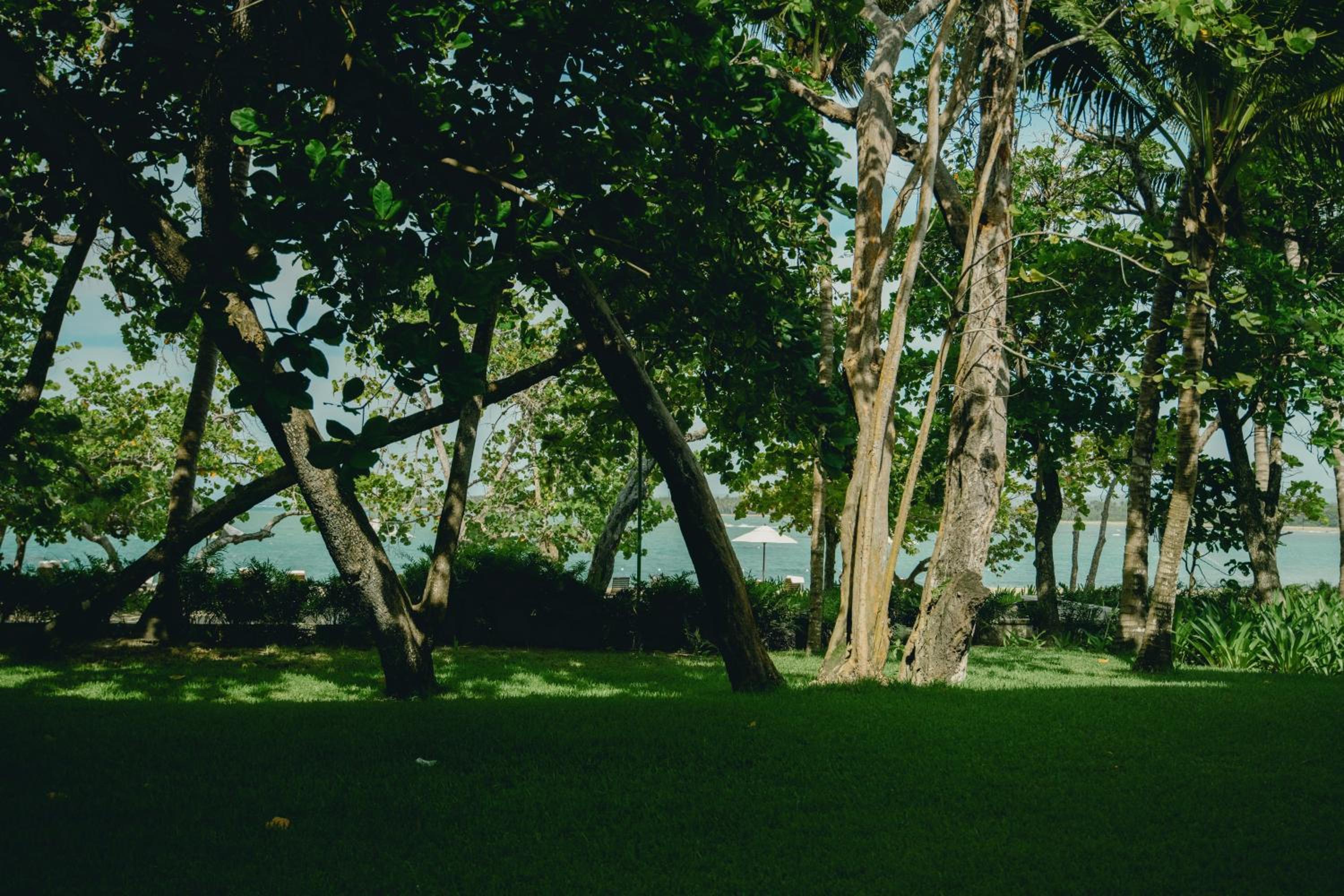 Junior Suite Lanai with Ocean Front photo 3