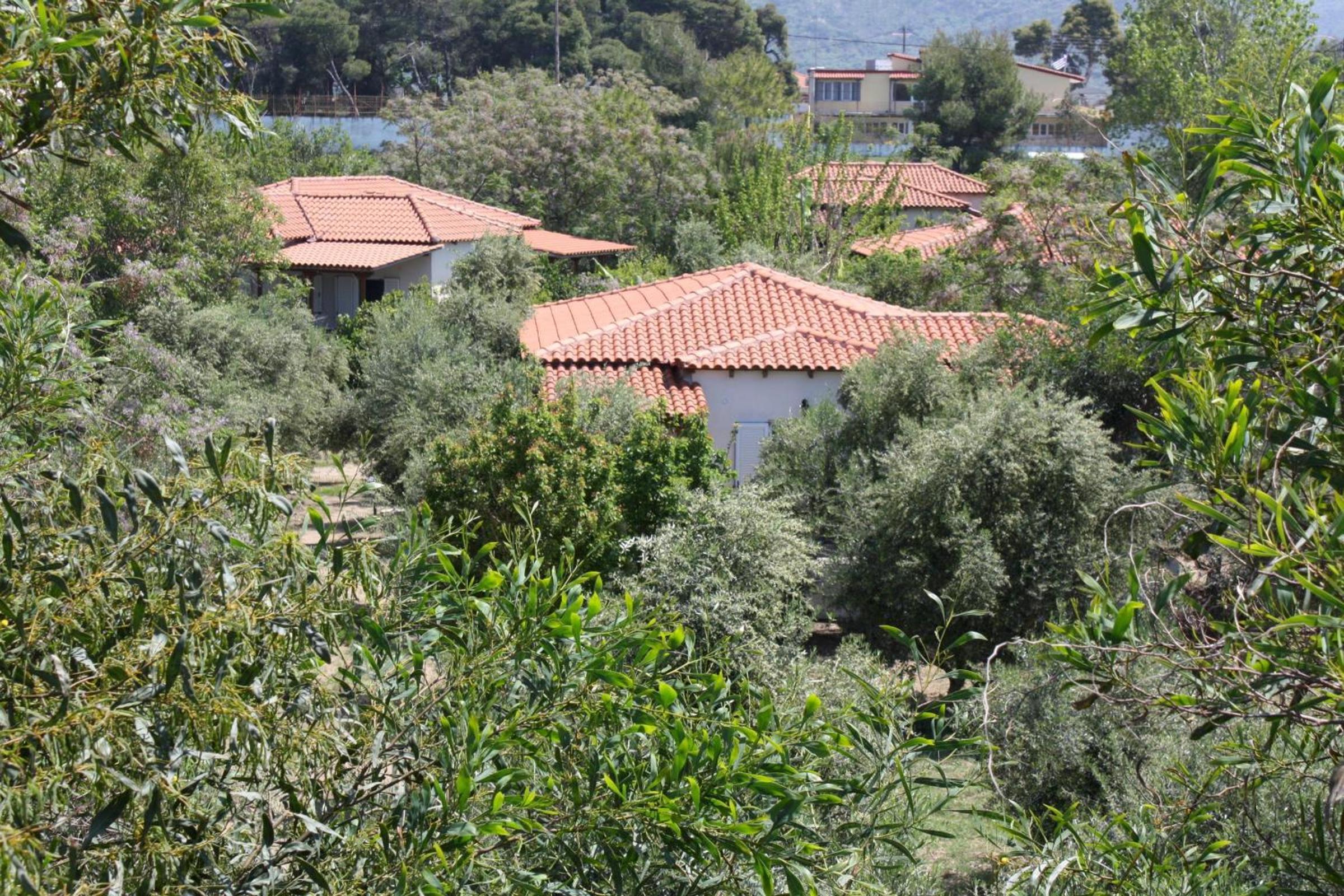 Vacation Home photo 2