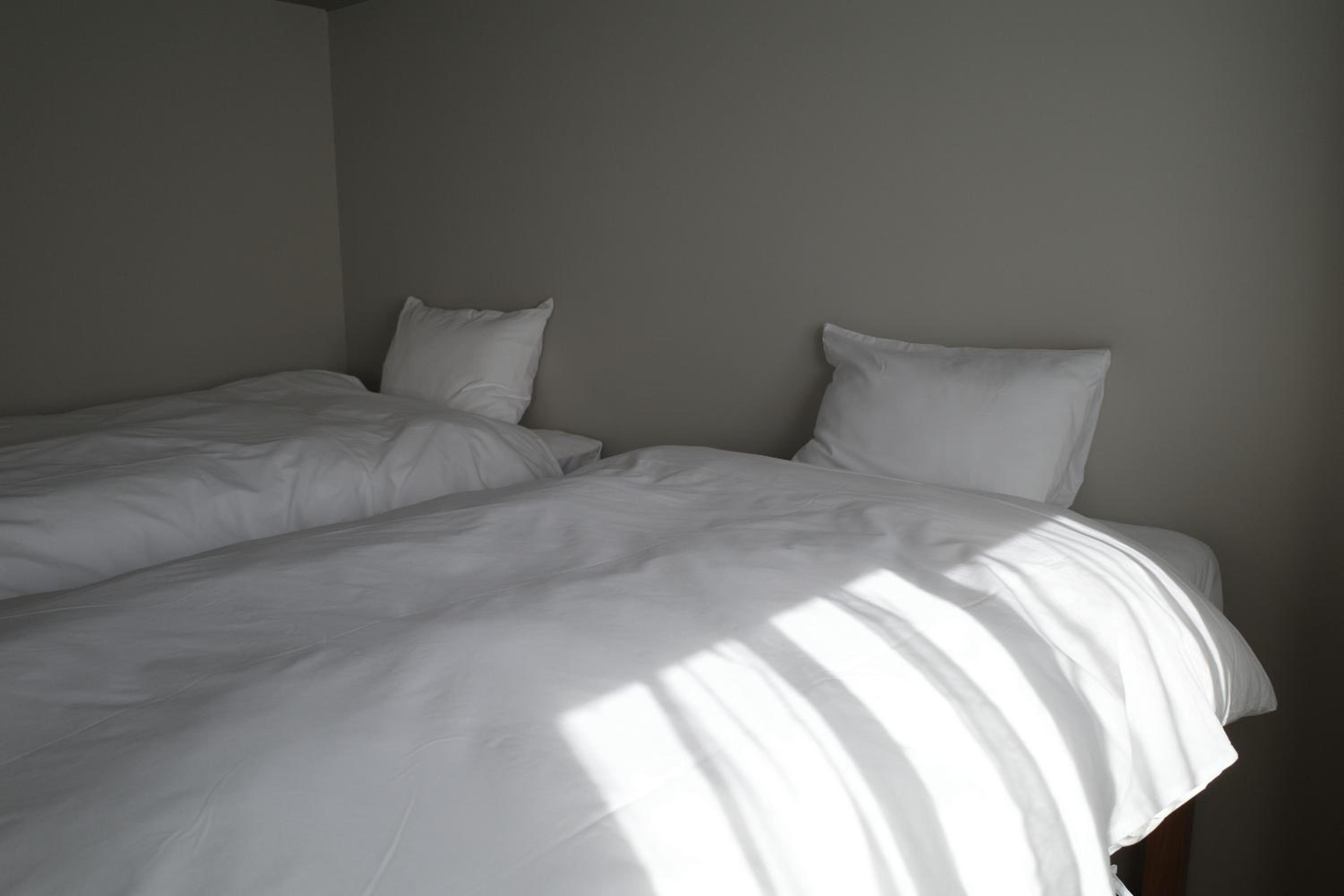 Twin Room photo 1