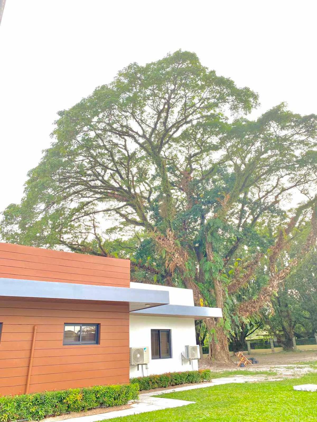 Premier Villa - Photo 25
