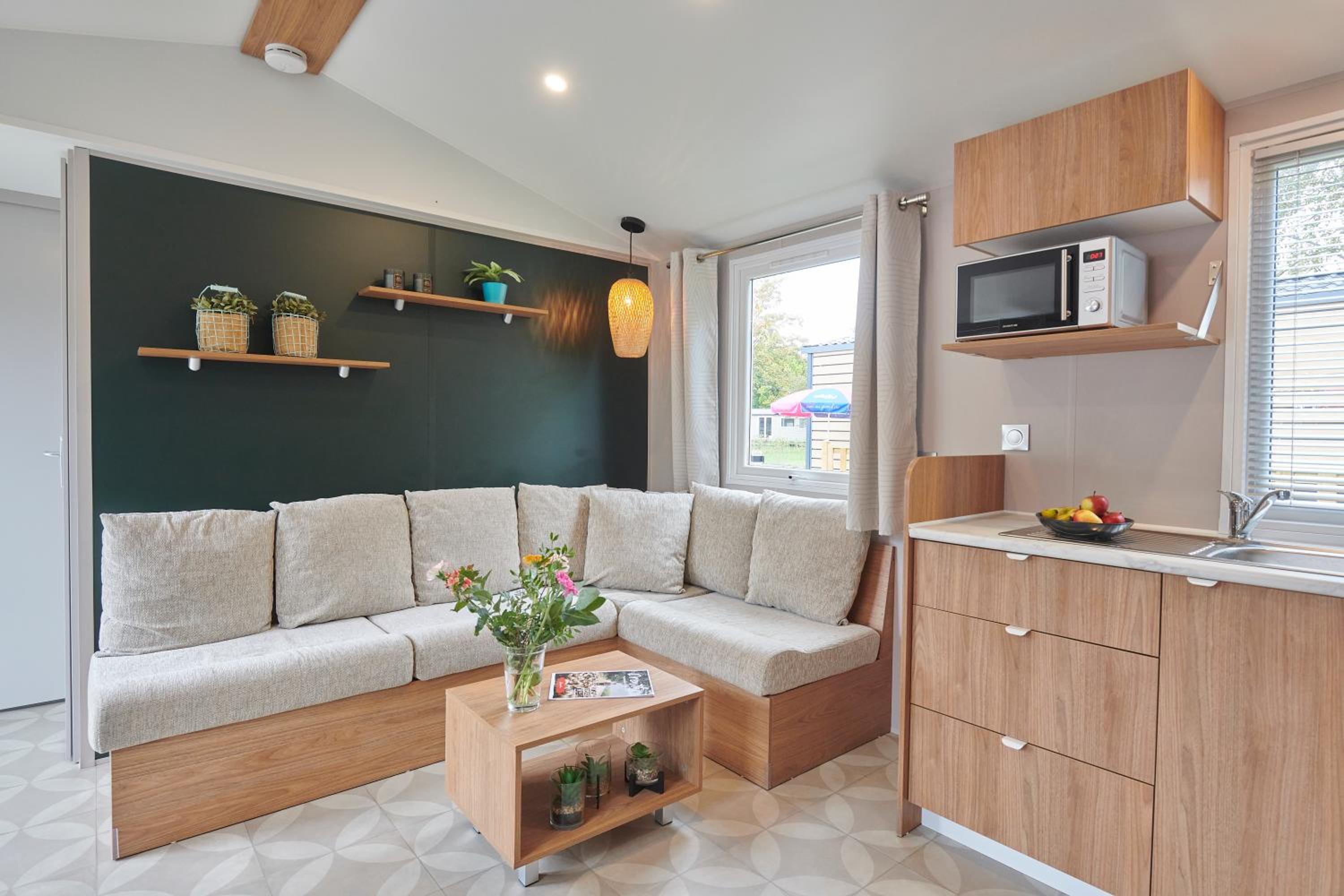 Mobile Home photo 1