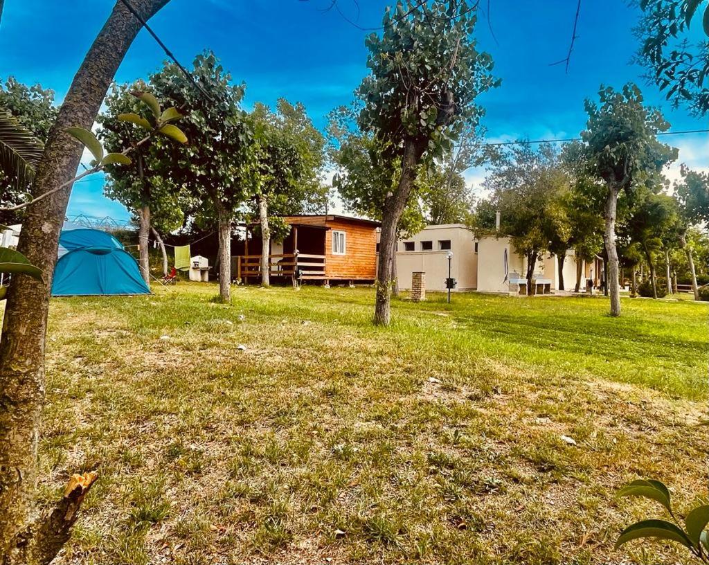 Empty lot - Photo 12