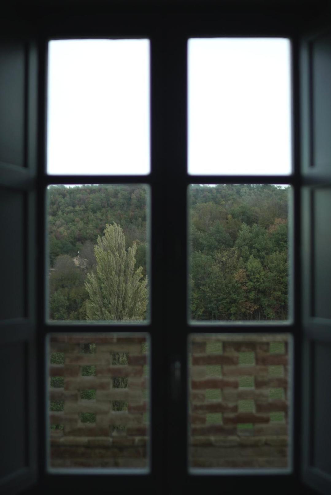Superior Suite - Photo 3