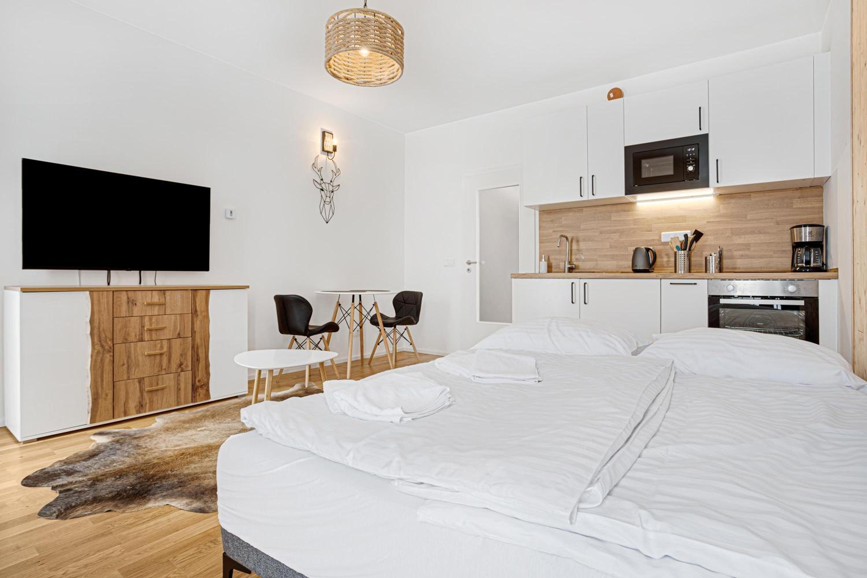 Studio Apartment photo 3