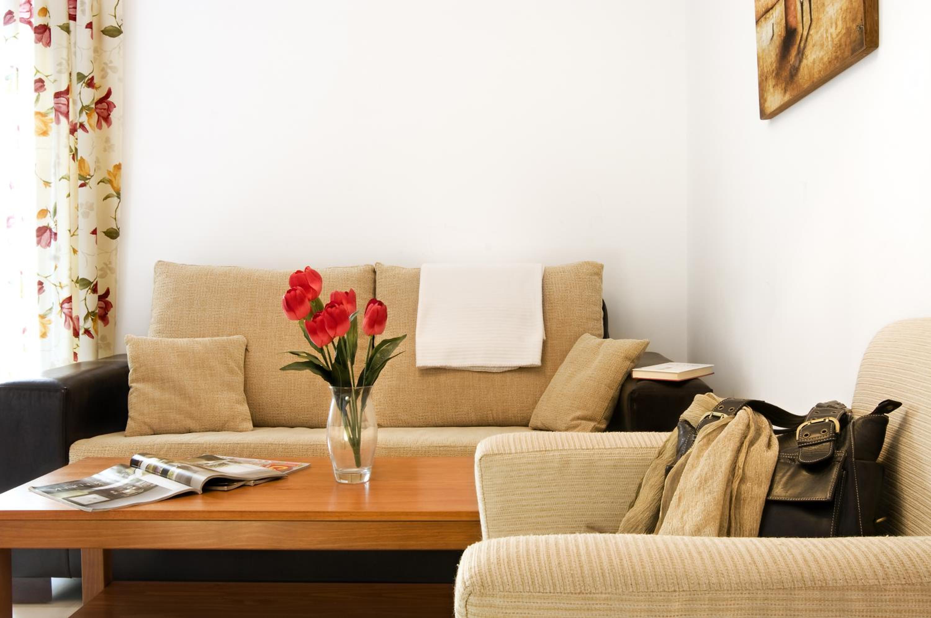 One-Bedroom Apartment photo 2