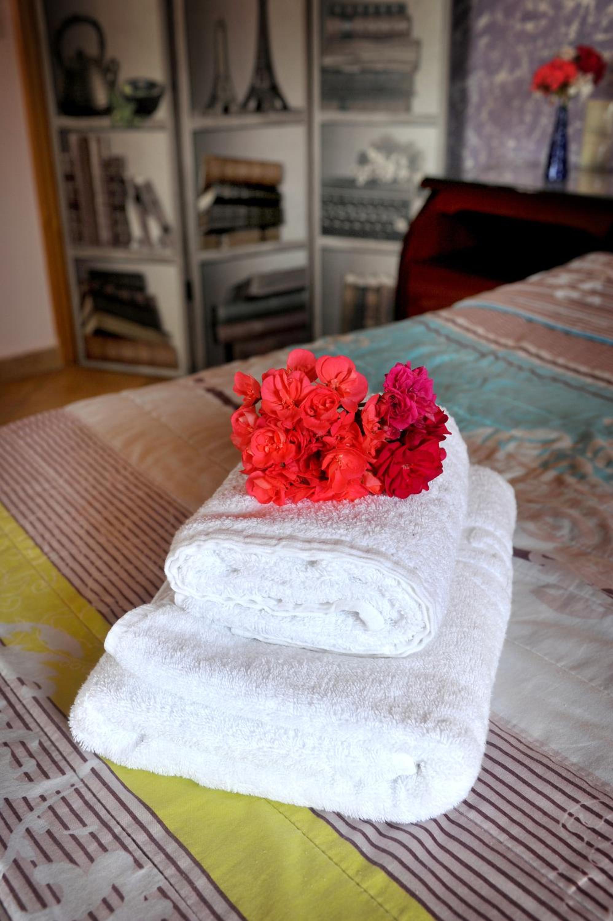 Superior One-Bedroom Apartment with Balcony photo 2