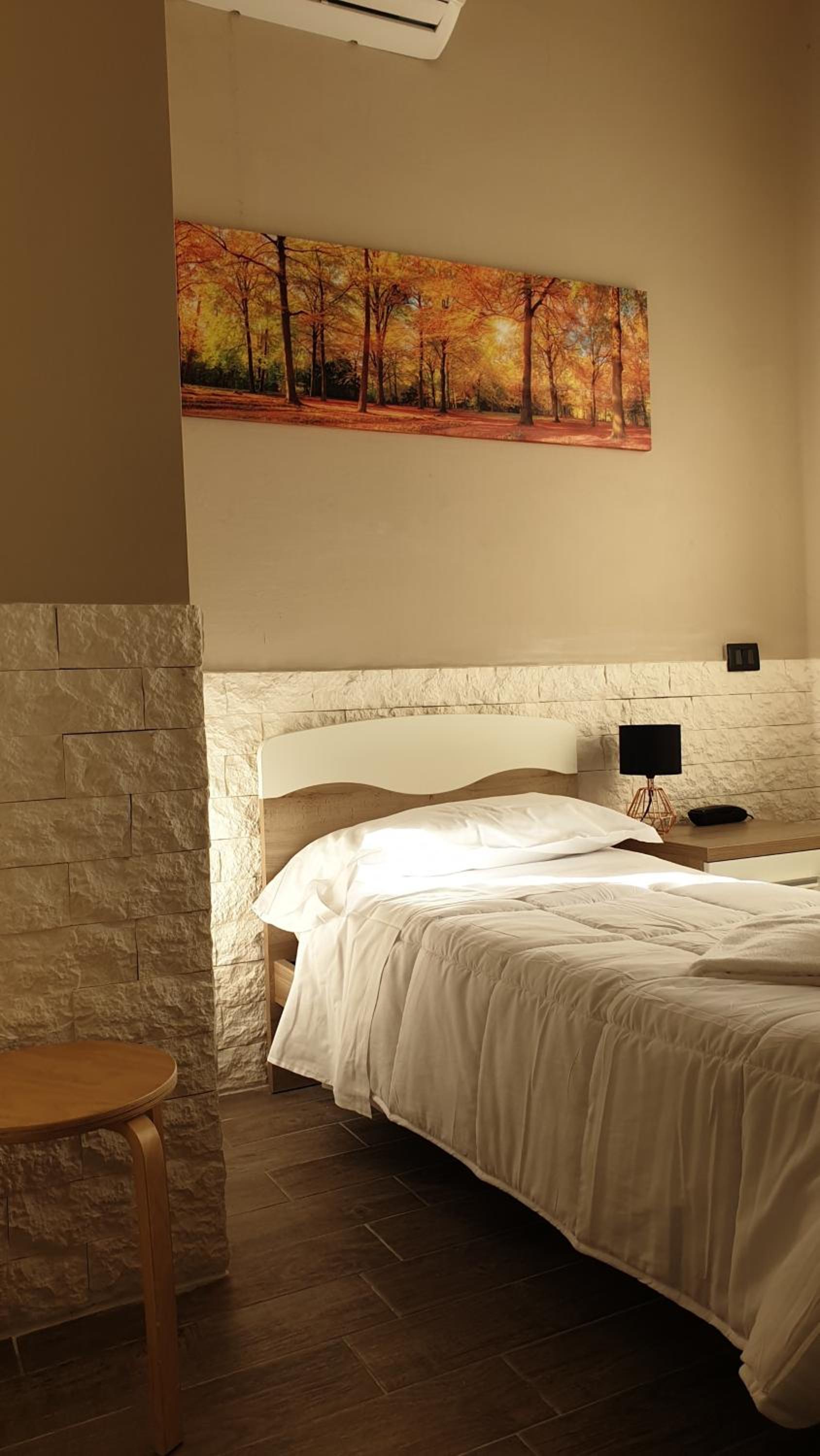 Single Room photo 1