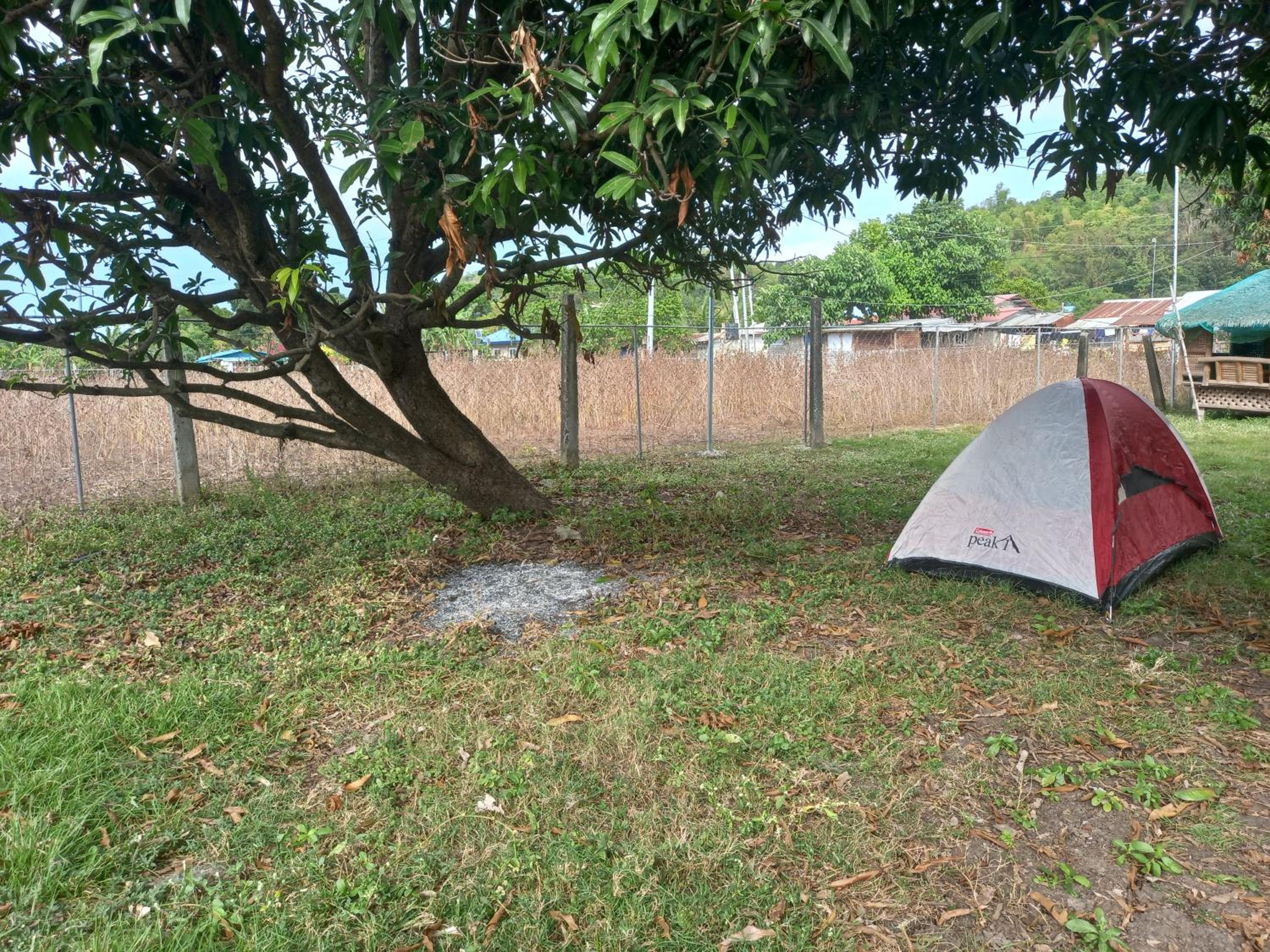 Tent photo 2