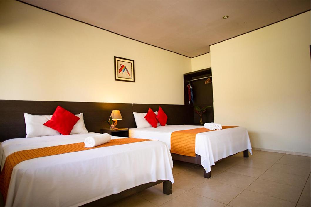 Twin Room with Terrace photo 2