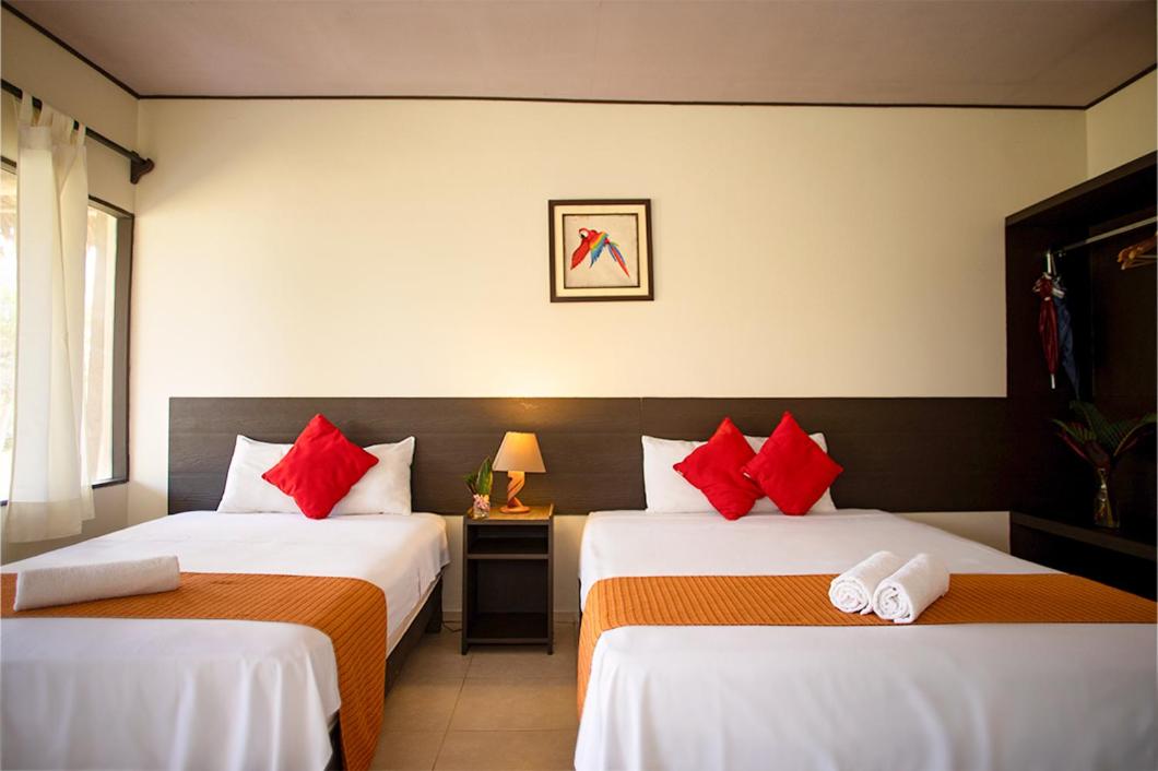 Twin Room with Terrace photo 1